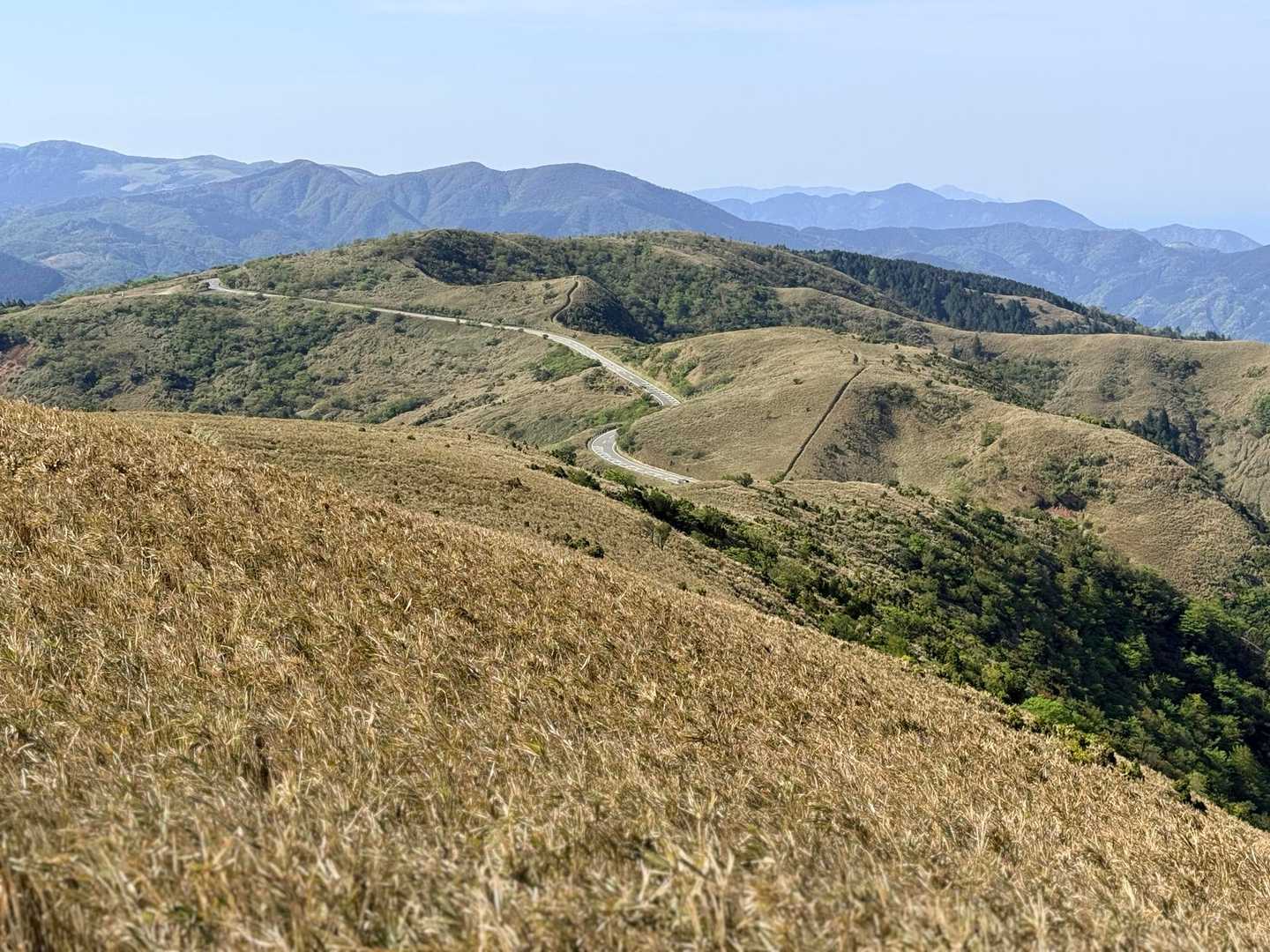 達磨山山頂から歩いてきた道を振り返る