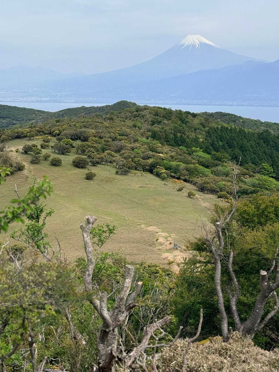 金冠山からの眺望