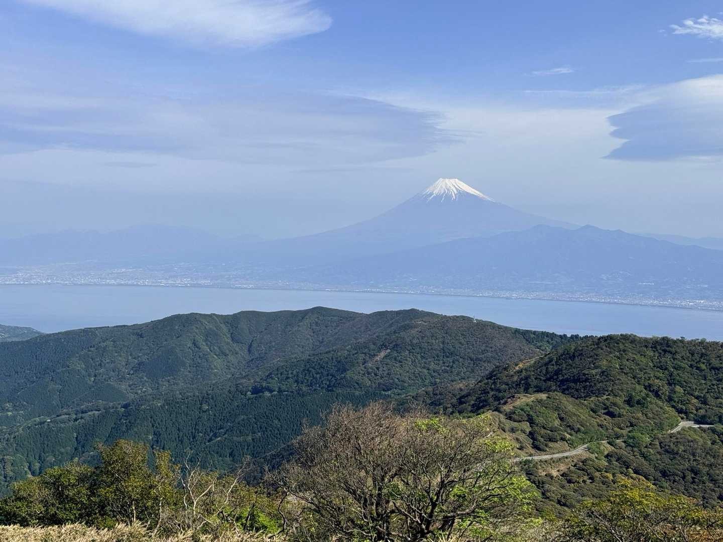 達磨山山頂から富士山