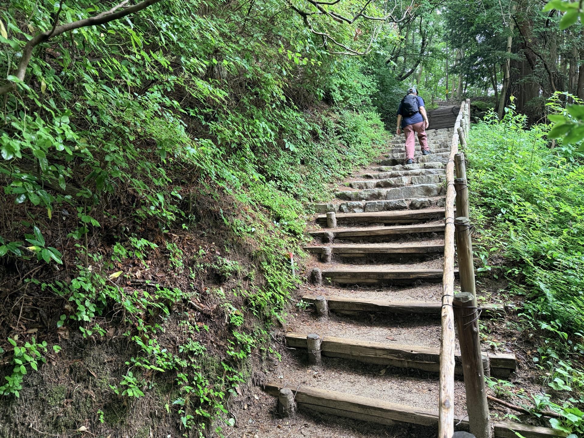 金剛山 木段と石段
