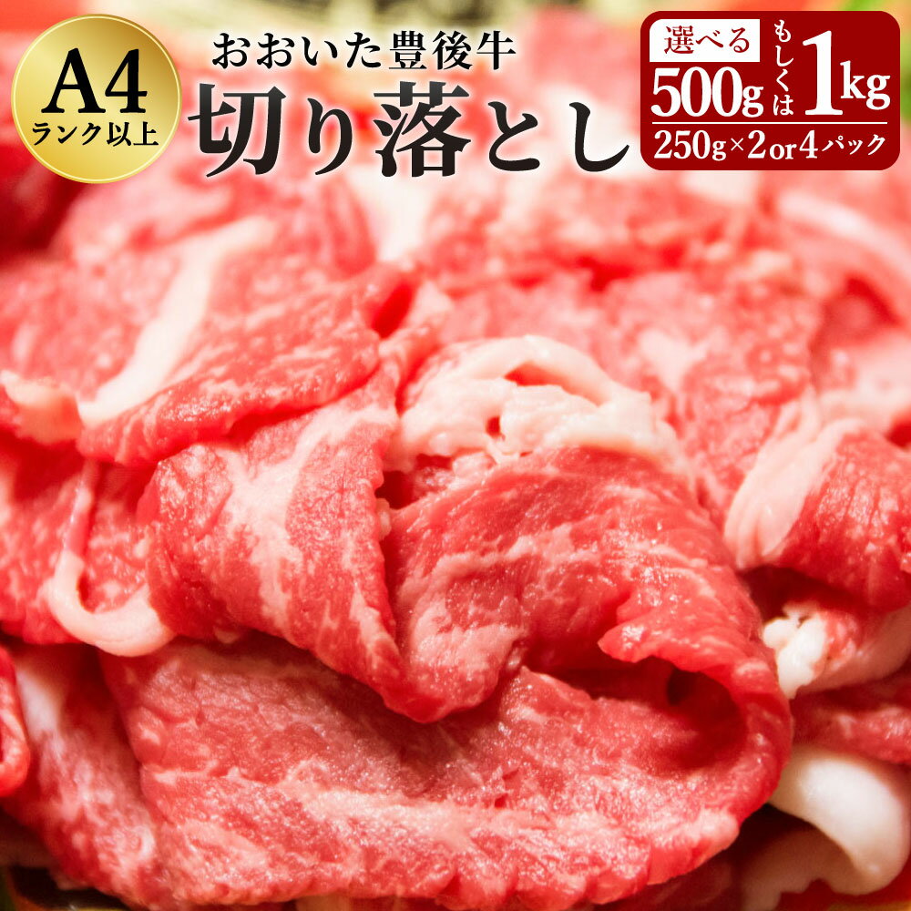 豊後牛 切り落とし 500g(黒毛和牛)