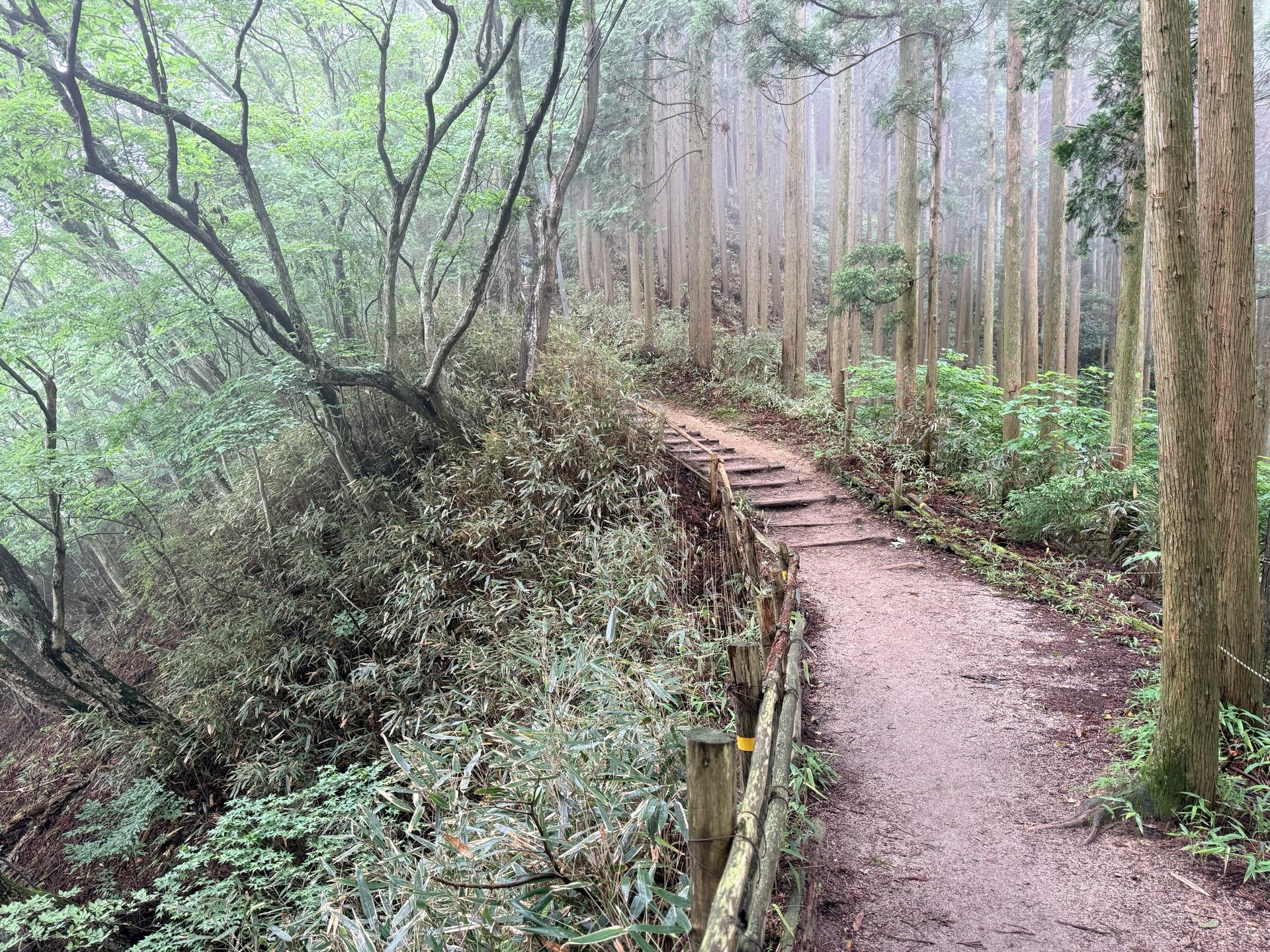 金剛山 休憩スポット