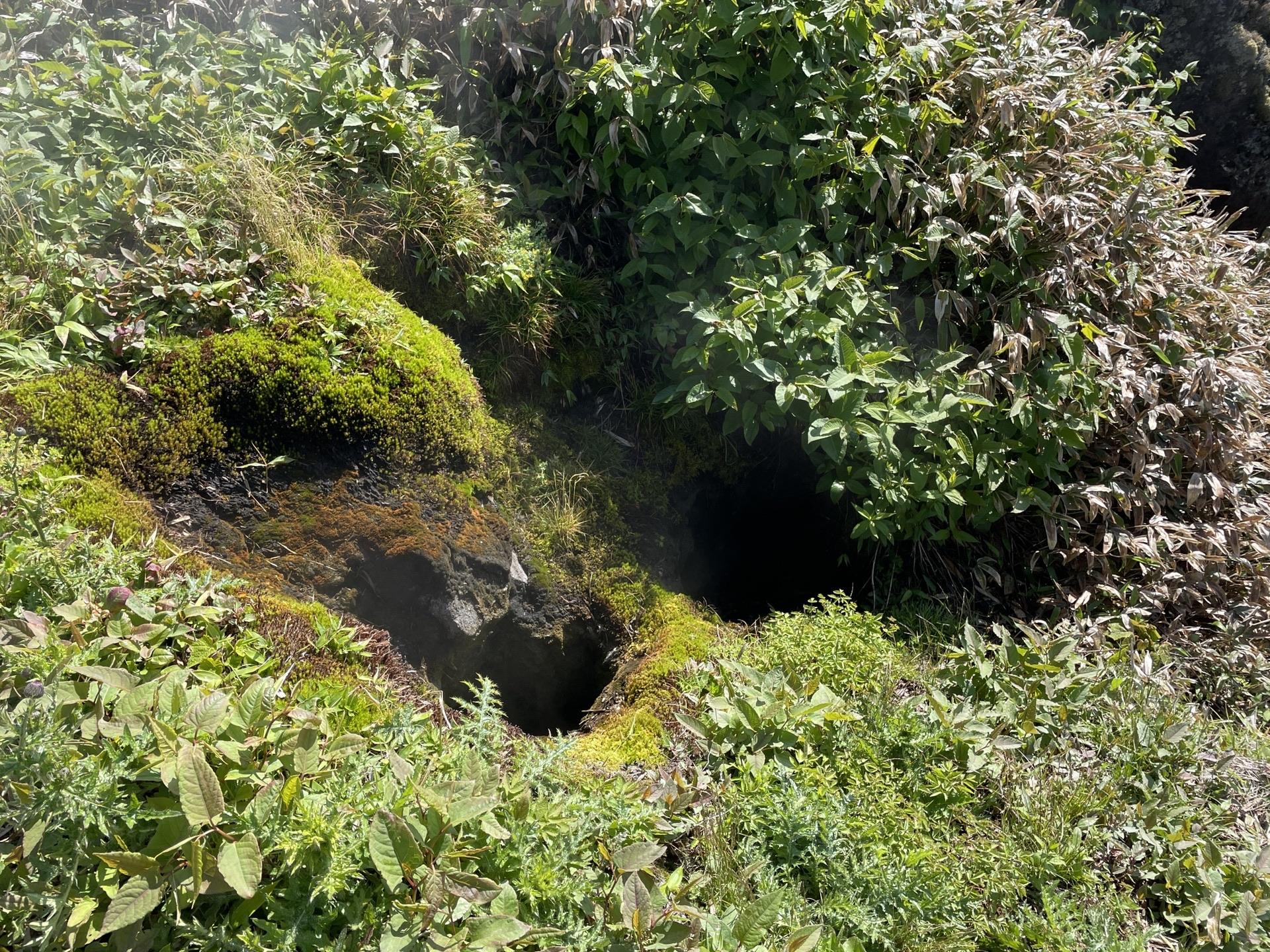 焼岳 噴気孔 緑 火山