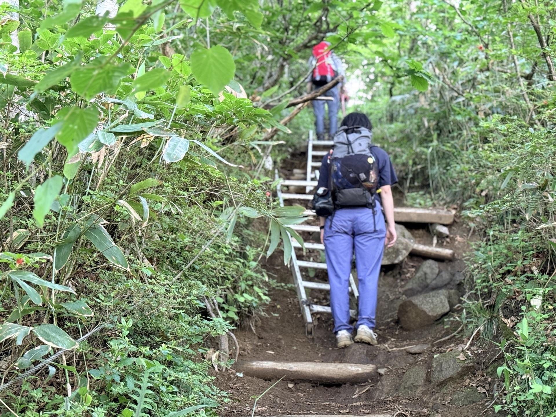 平標山 ハシゴも登場(ここはそれほど急ではない)