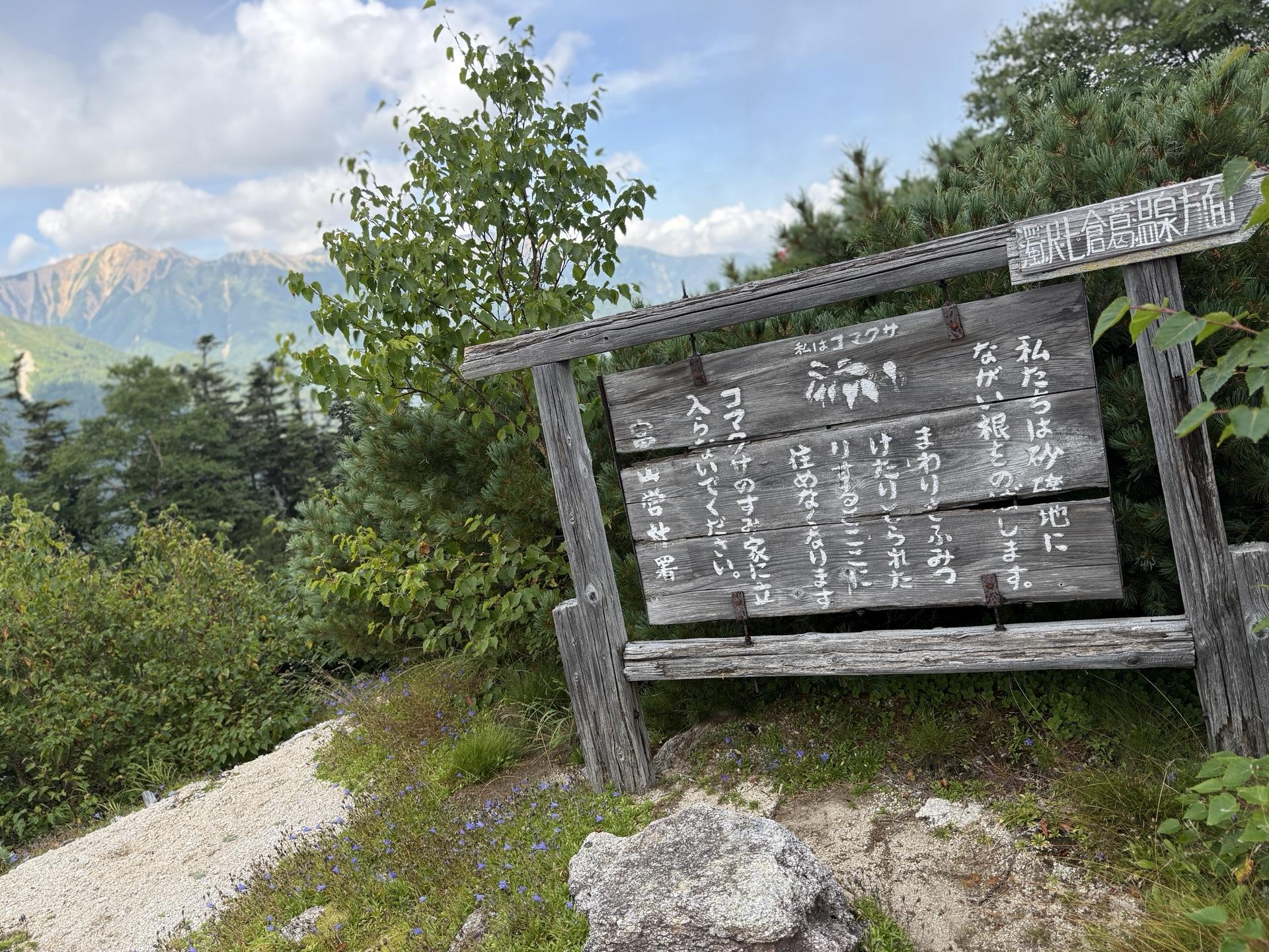 烏帽子岳 コマクサ群落