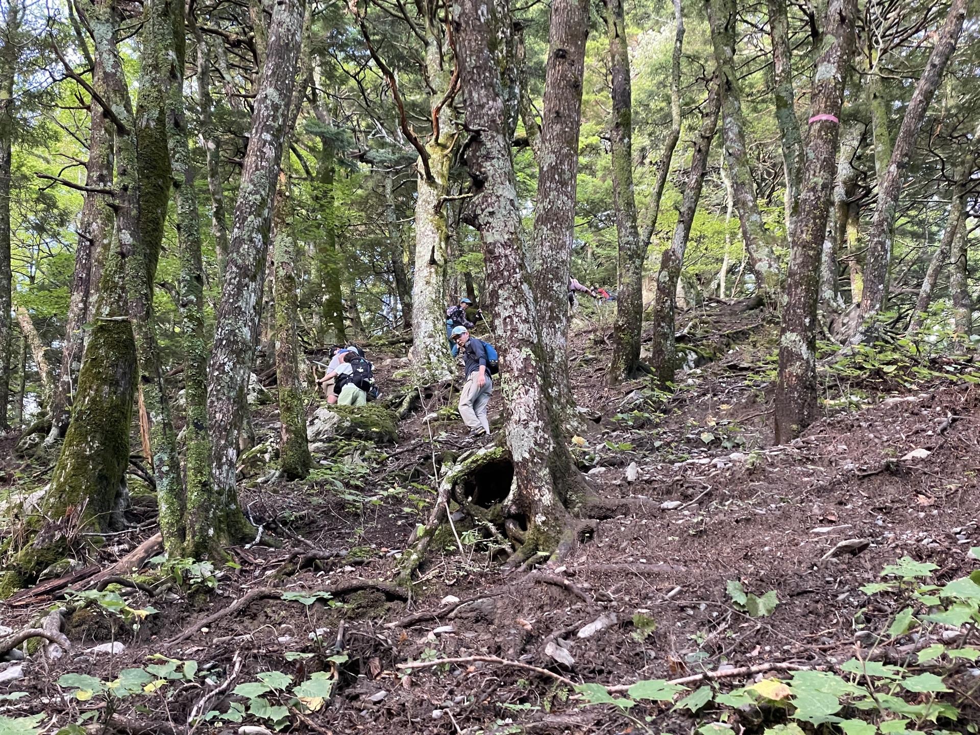 北岳 白根御池ルート 急登の始まり 2024年9月23日6時42分撮影