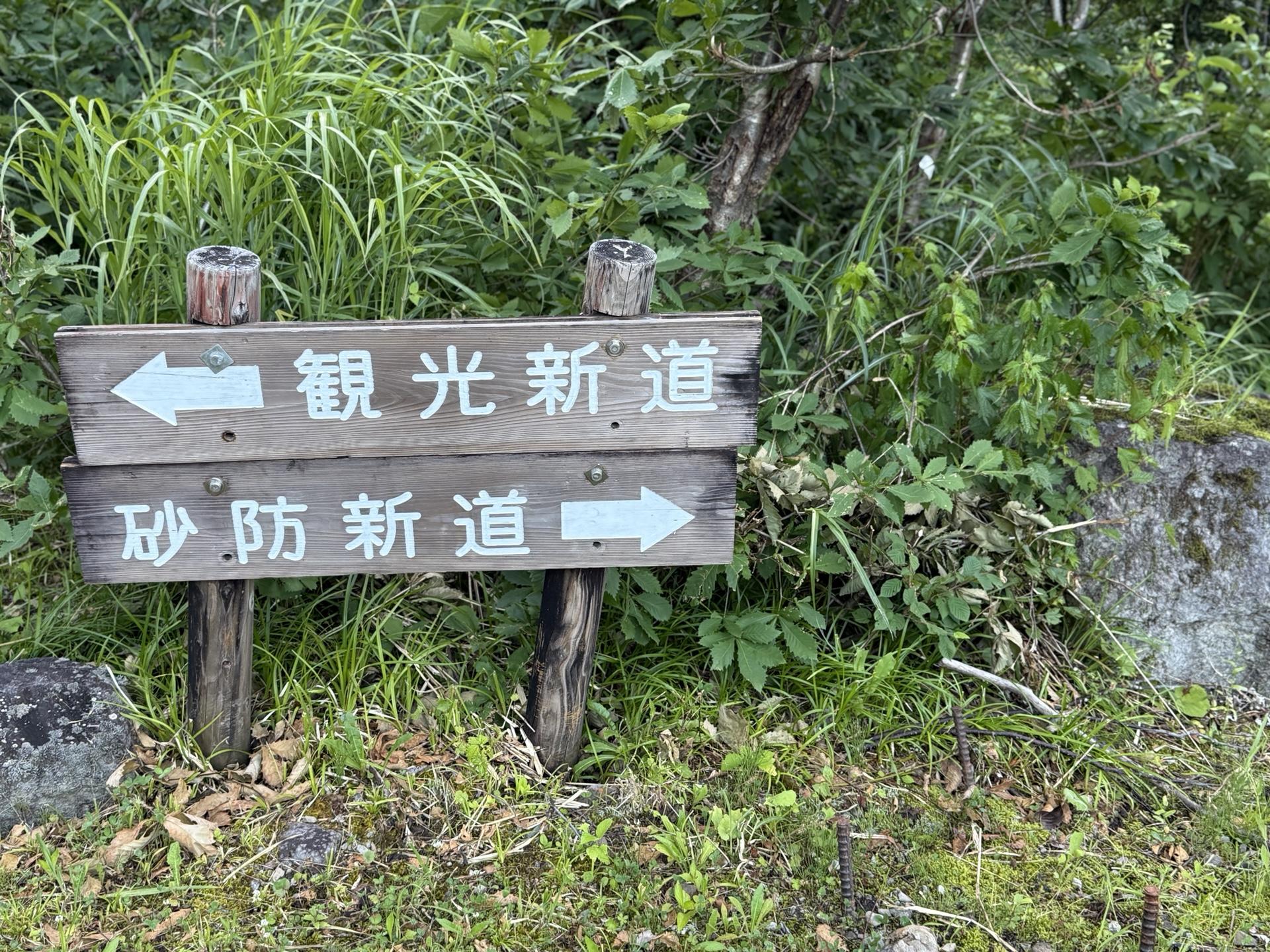 白山 別当出合 観光新道と砂防新道の分岐