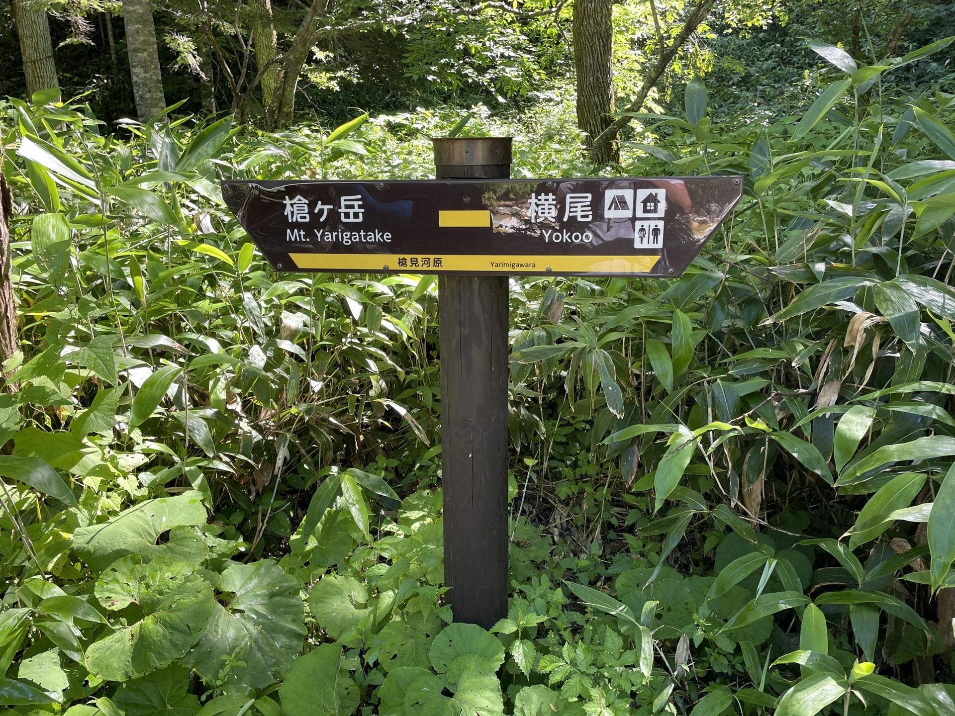 表銀座 下山 槍沢 梓川 槍沢からは、最後にもう一度だけ槍ヶ岳が顔を出してくれました。