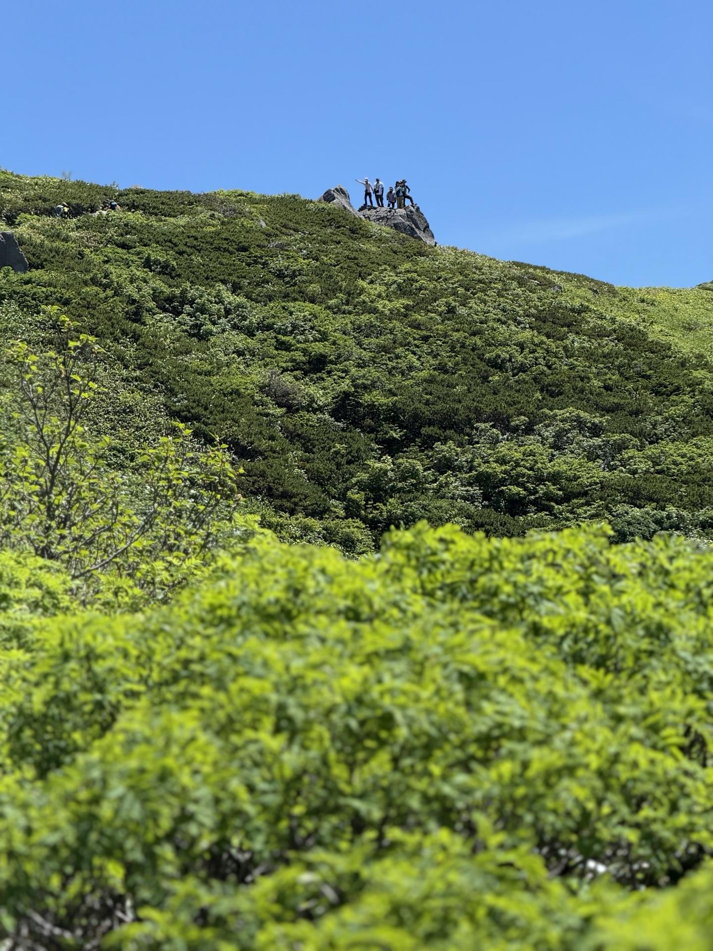 白山 弥陀ヶ原への入口、黒ボコ岩