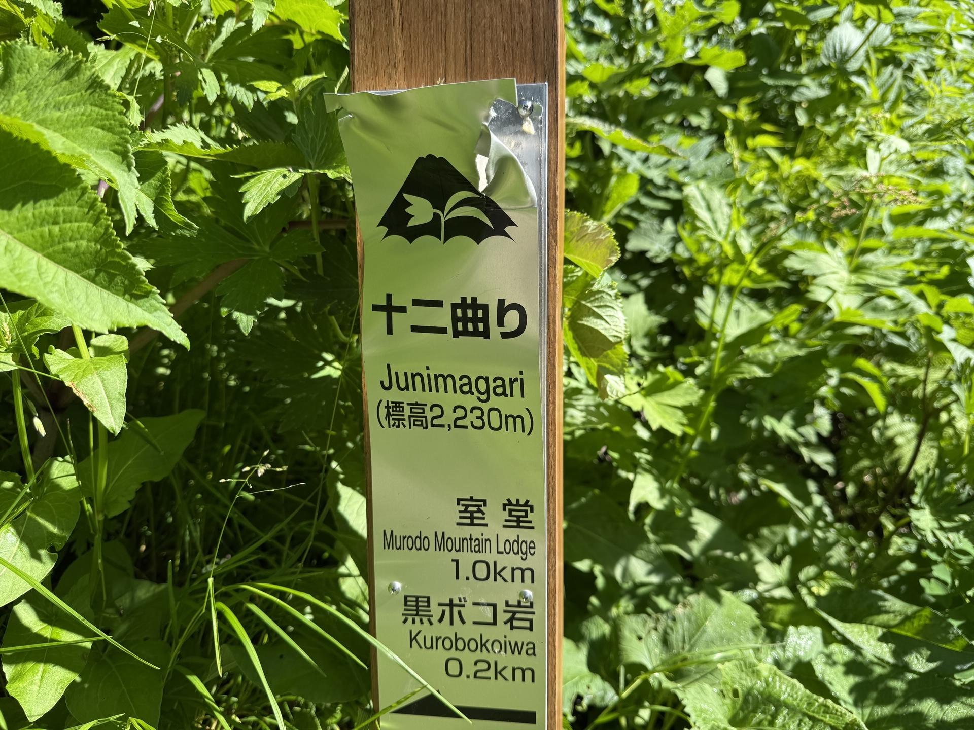 白山 砂防新道 十二曲り お花畑