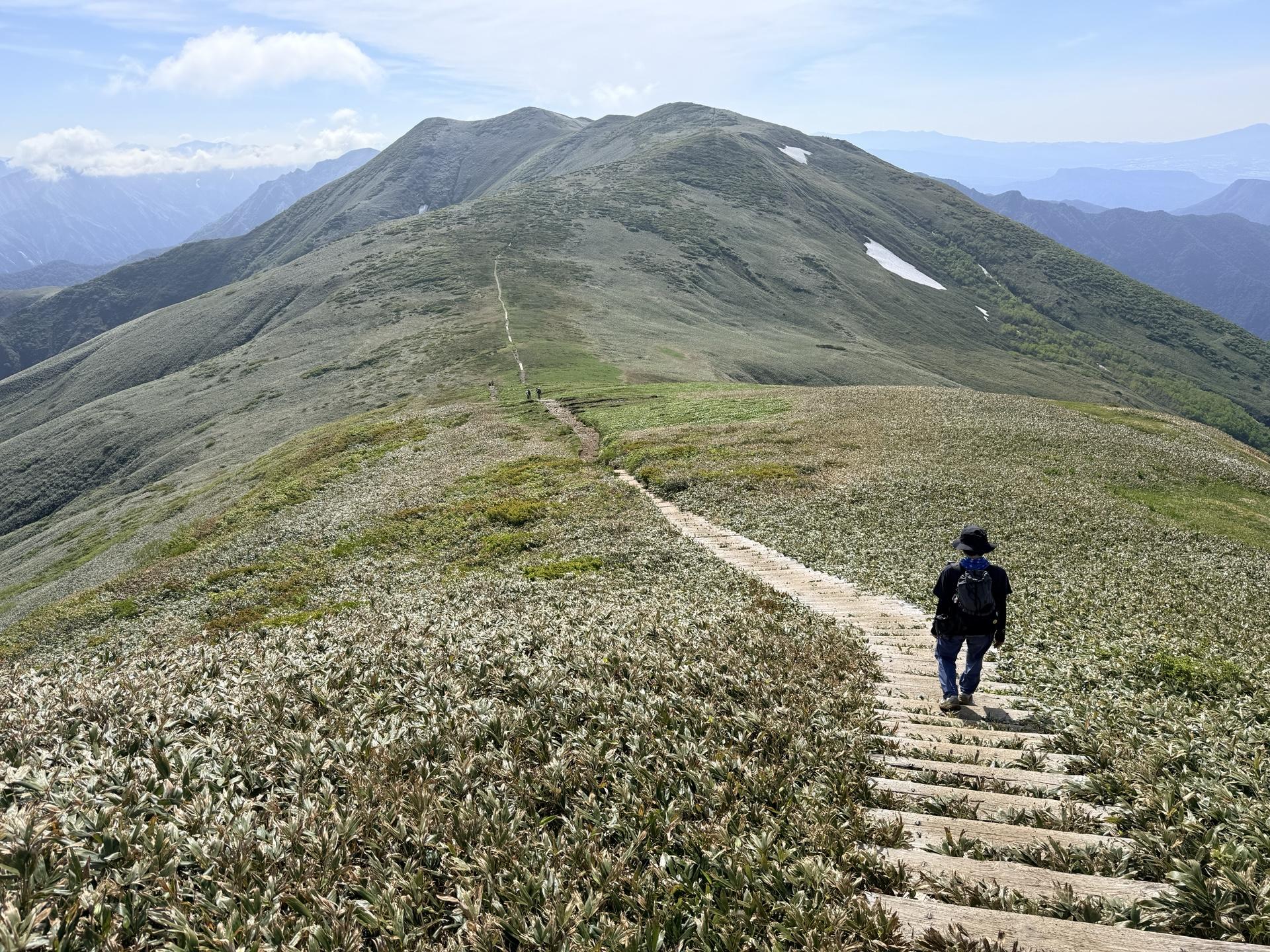 平標山 山頂から少し下ると現れるお花畑へ