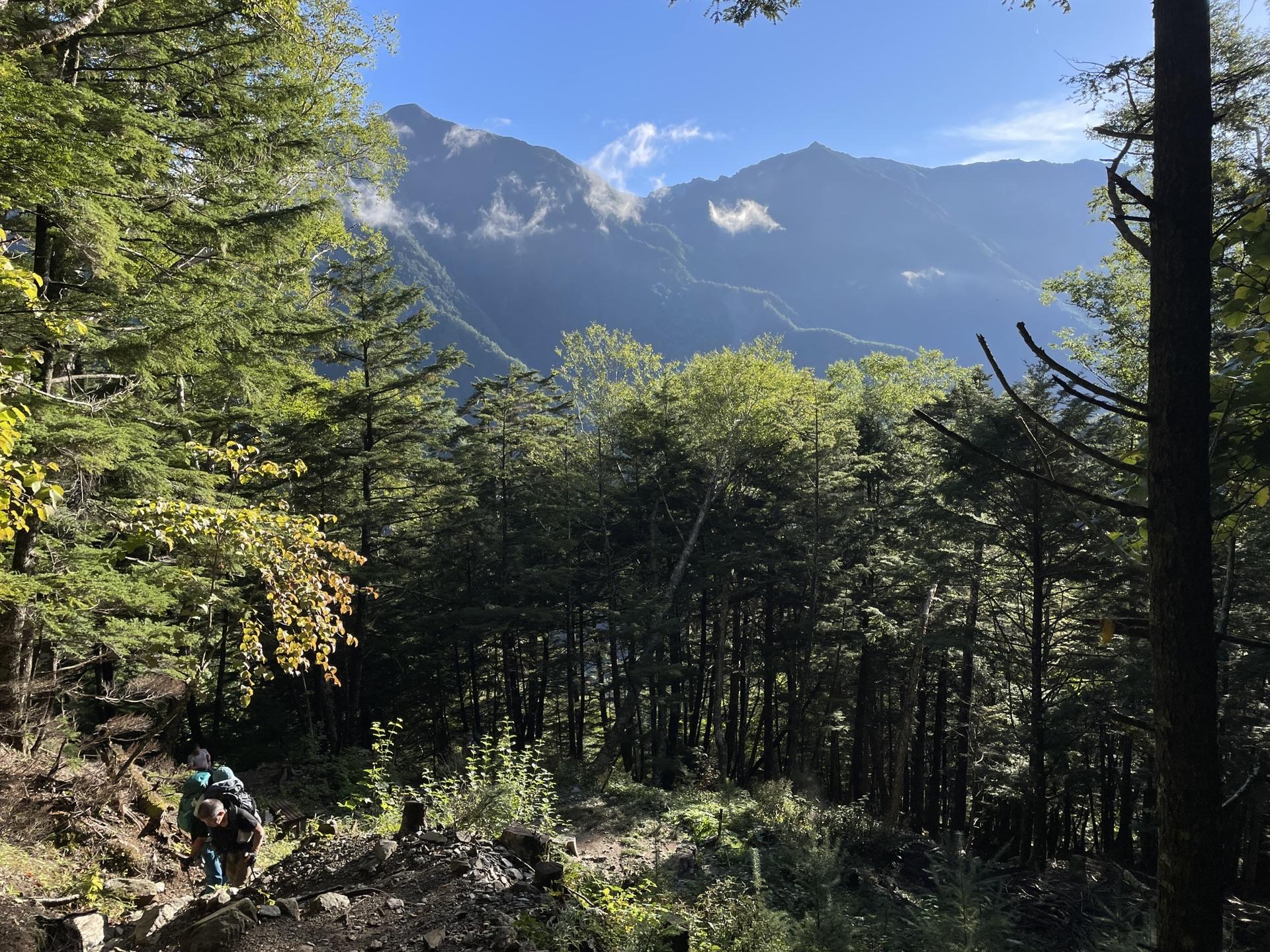 北岳 樹林帯から望む鳳凰三山 2024年9月23日7時06分撮影
