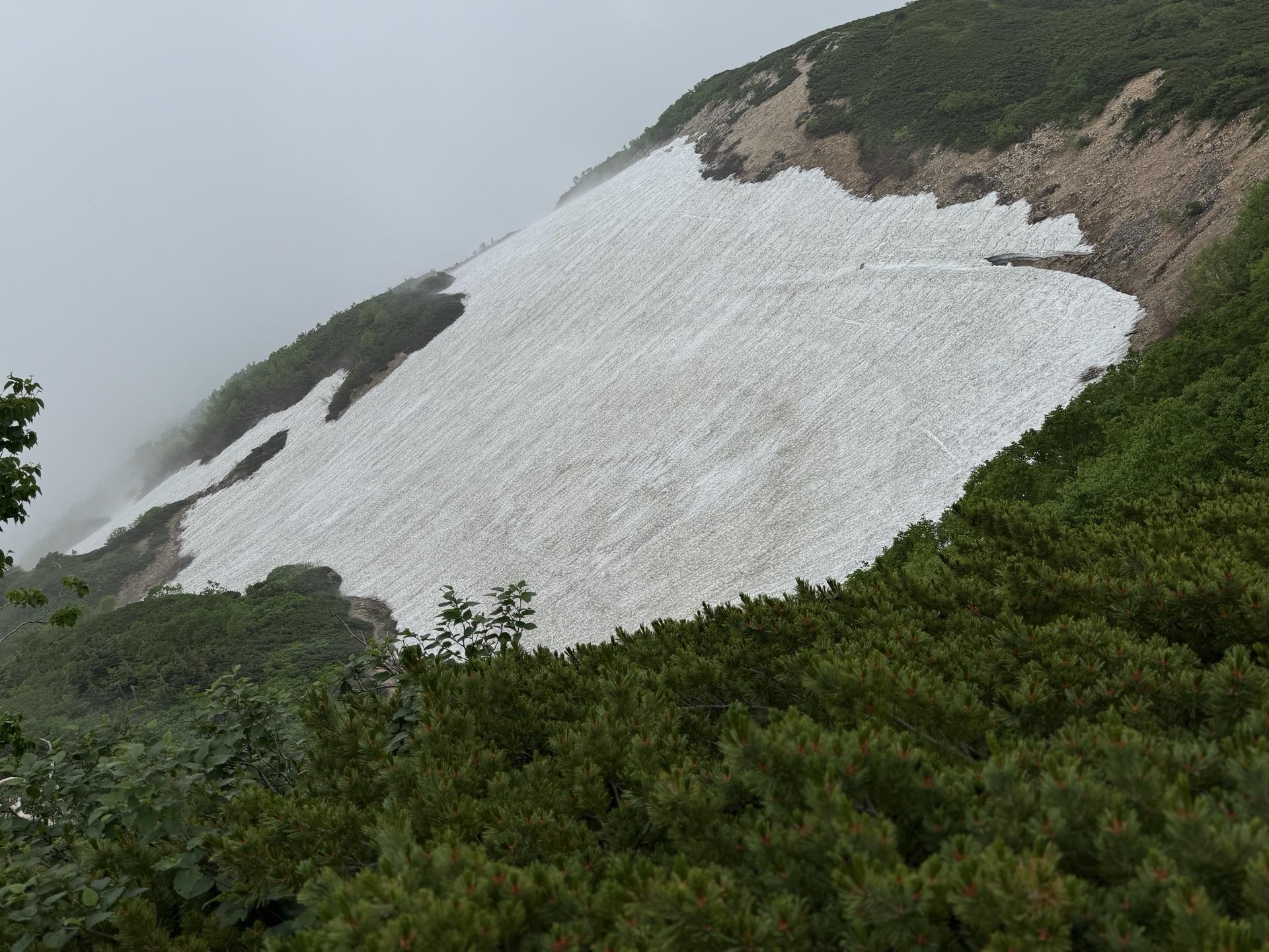 唐松岳 八方尾根 夏道で通るはずの扇雪渓の横は通らず 巻いてくる感じ 2025年7月9日11:08撮影