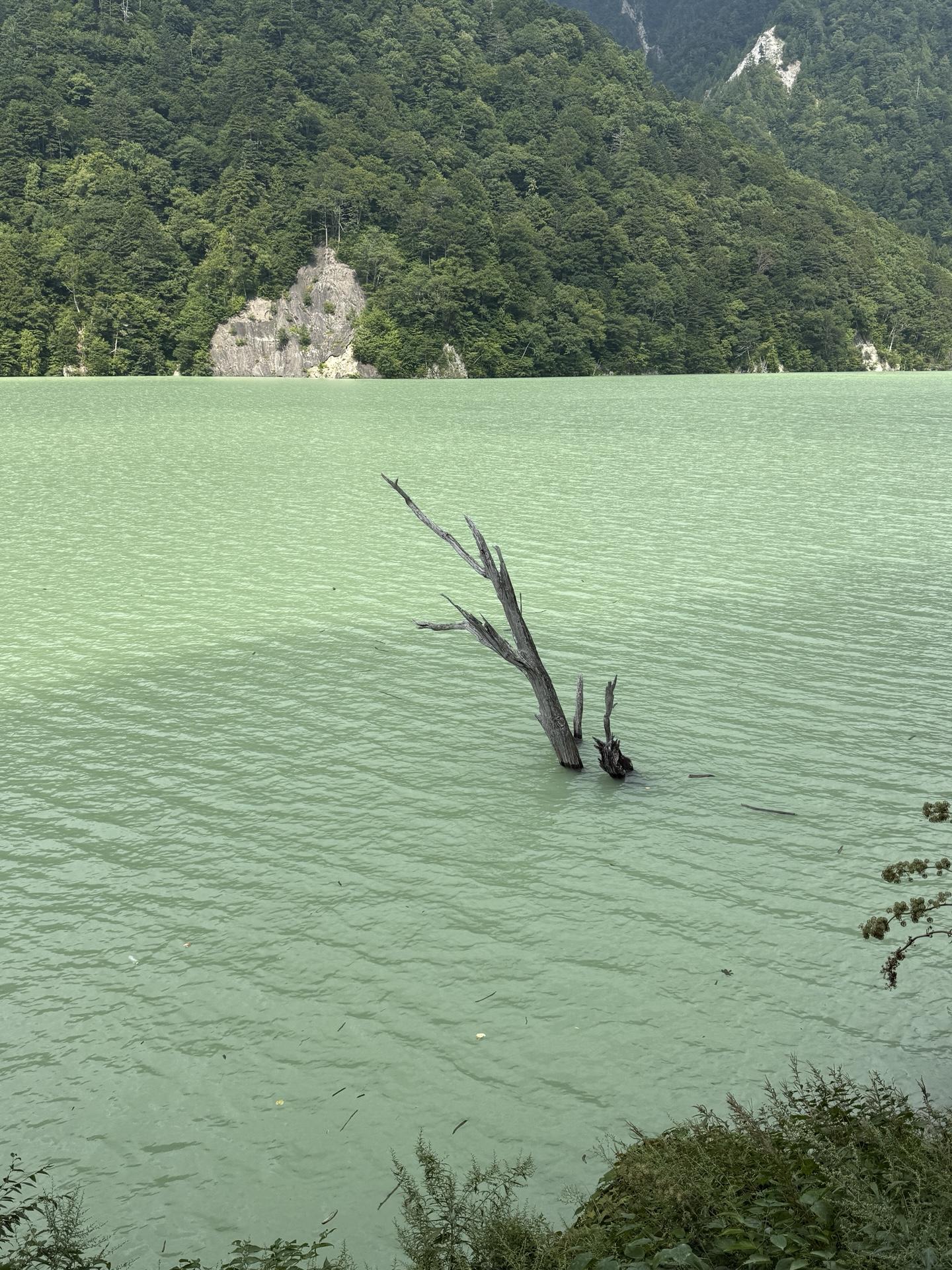 裏銀座 下山 高瀬ダム