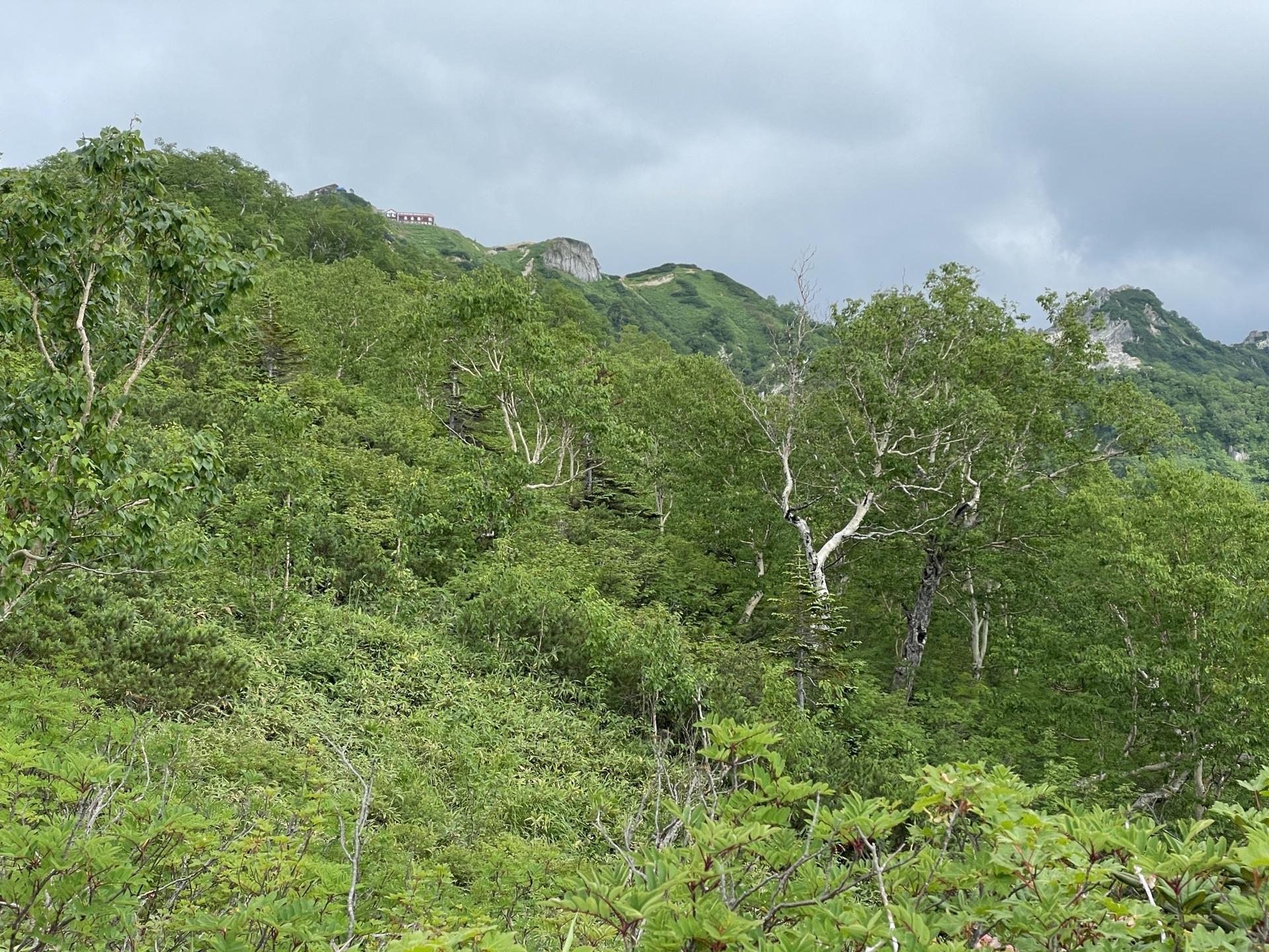 表銀座 燕山荘 燕岳 稜線に出ると燕山荘が見えてきます。ここまで来れば一安心。