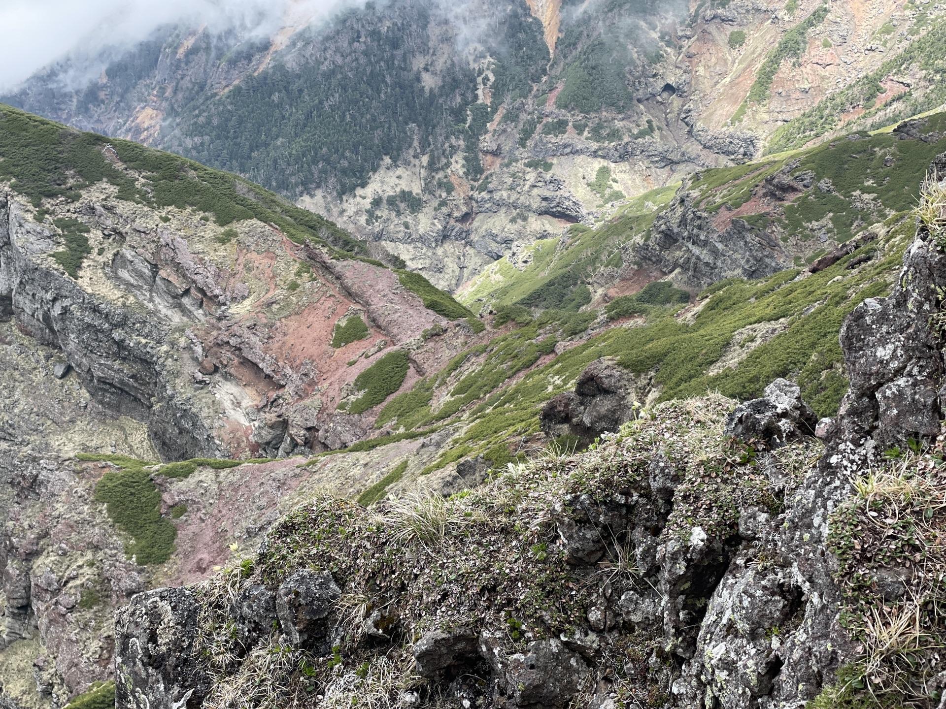 横岳 断崖 高山植物