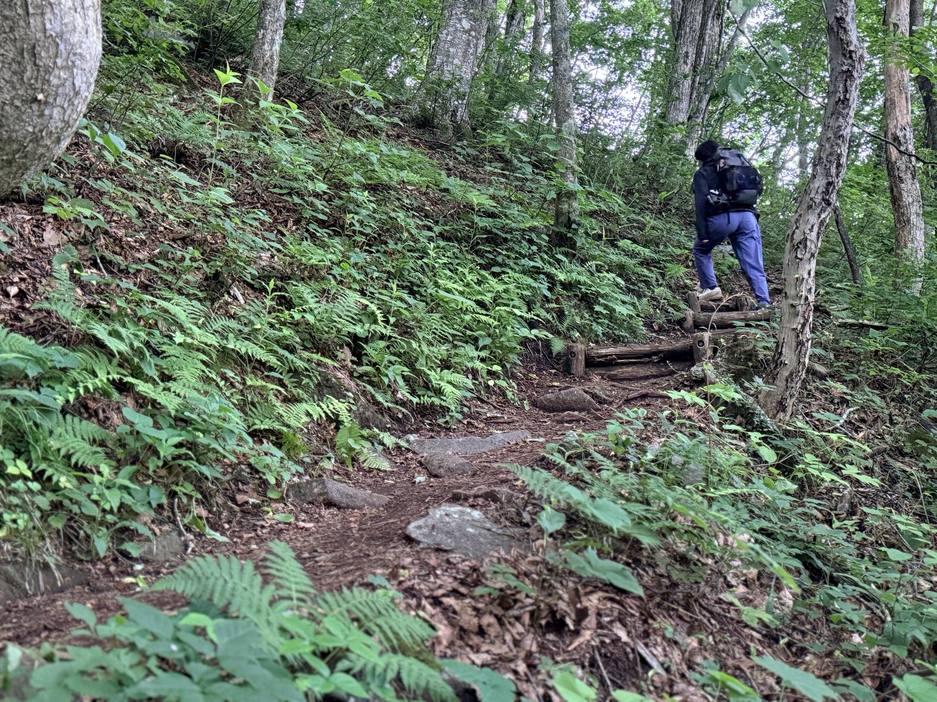 平標山 いきなり九十九折りの急登が続く