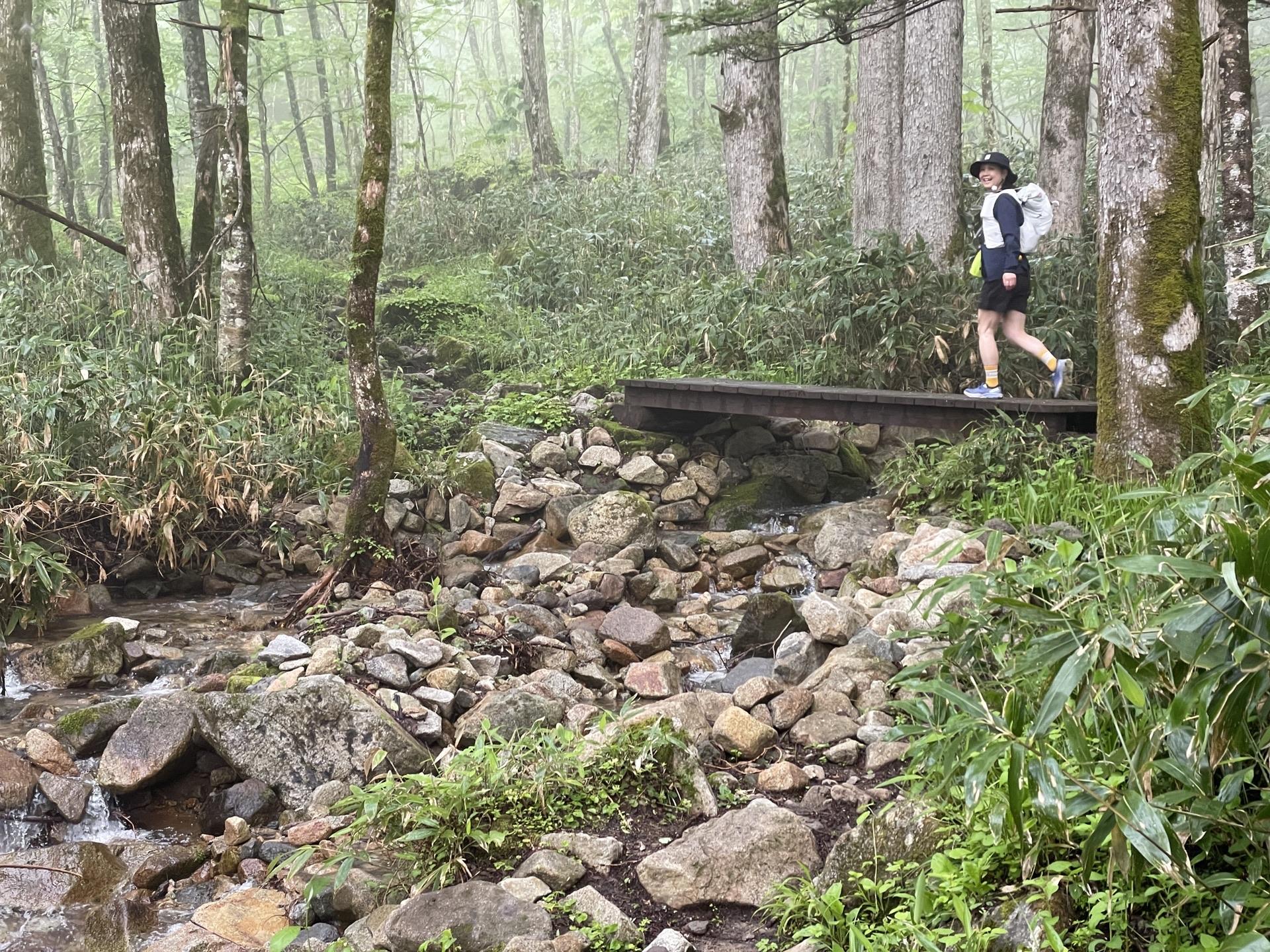 焼岳登山道 樹林帯
