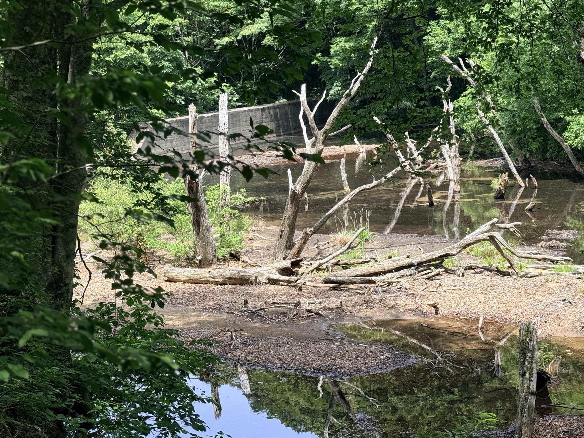 平標山 下山口近くの砂防ダム。ここまで来れば一安心
