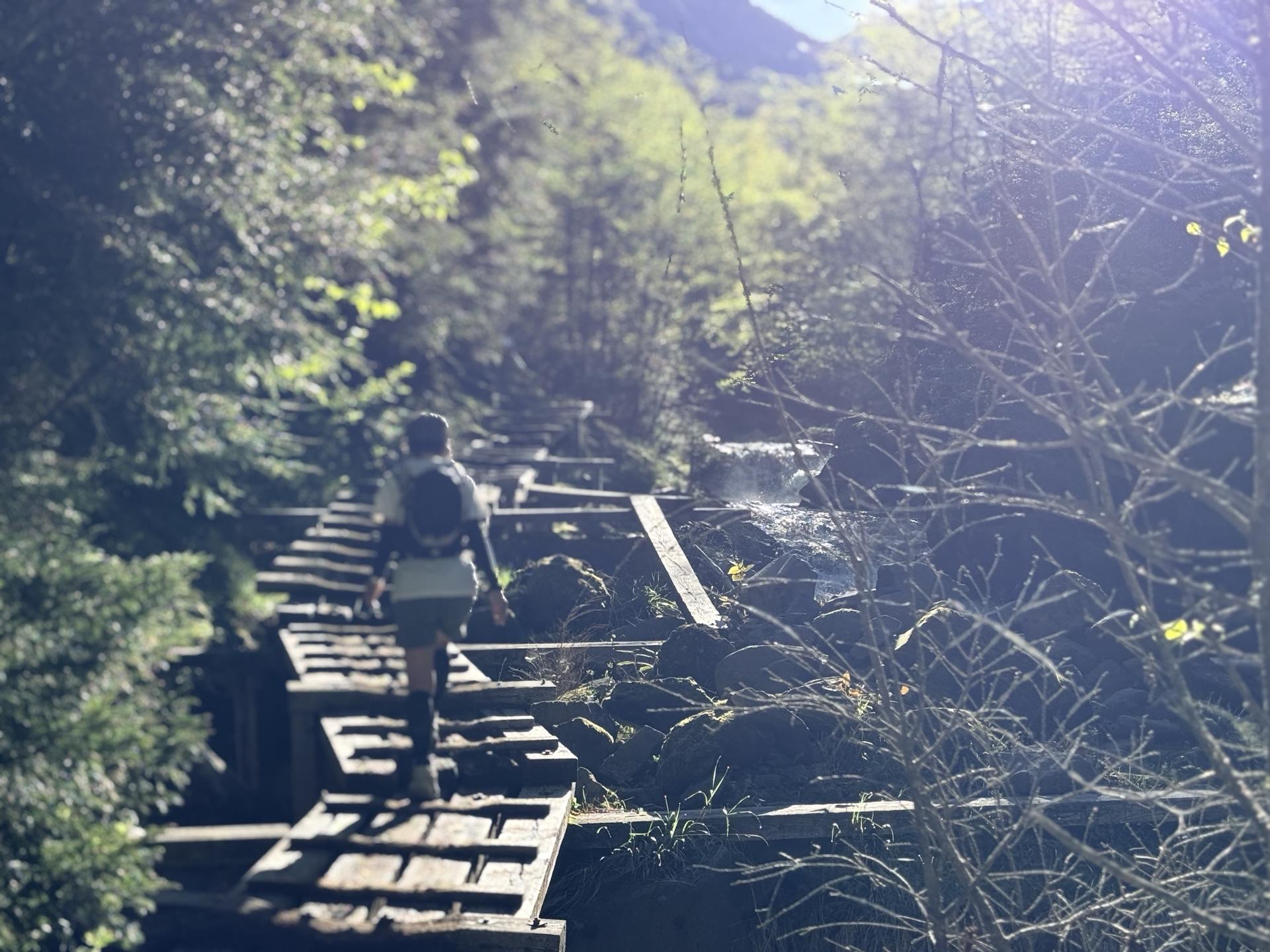 赤岳 北沢沿いの木道