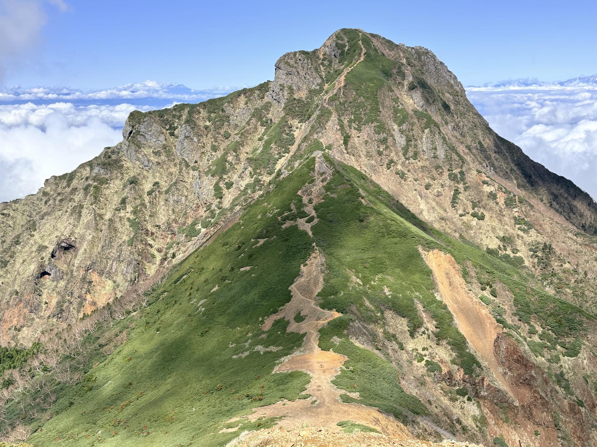 赤岳 花と眺望