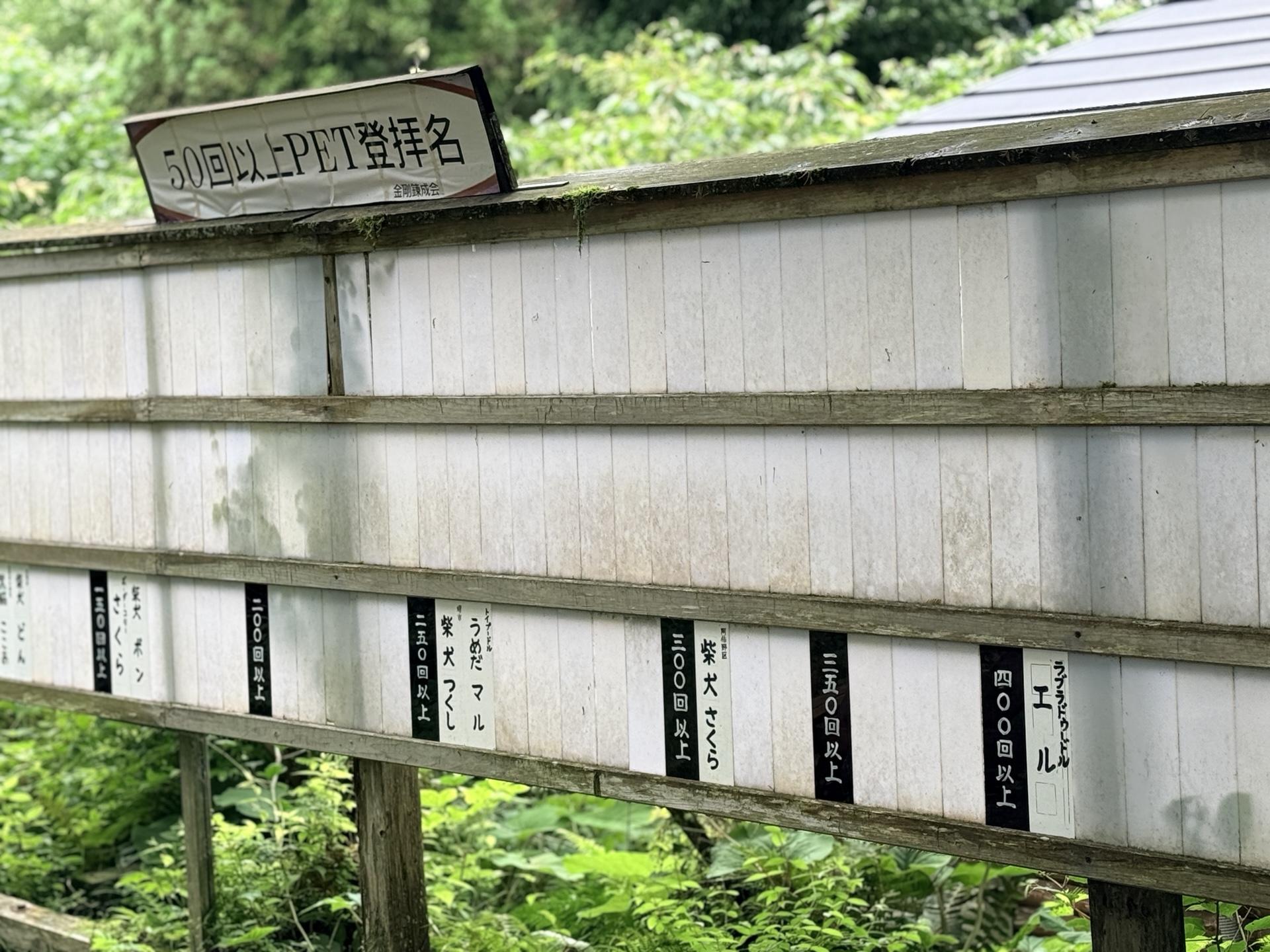 金剛山 ペット登拝