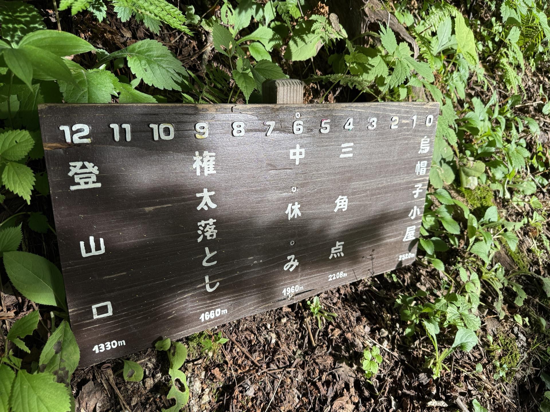 ブナ立尾根 カウントダウン標識 12からスタート