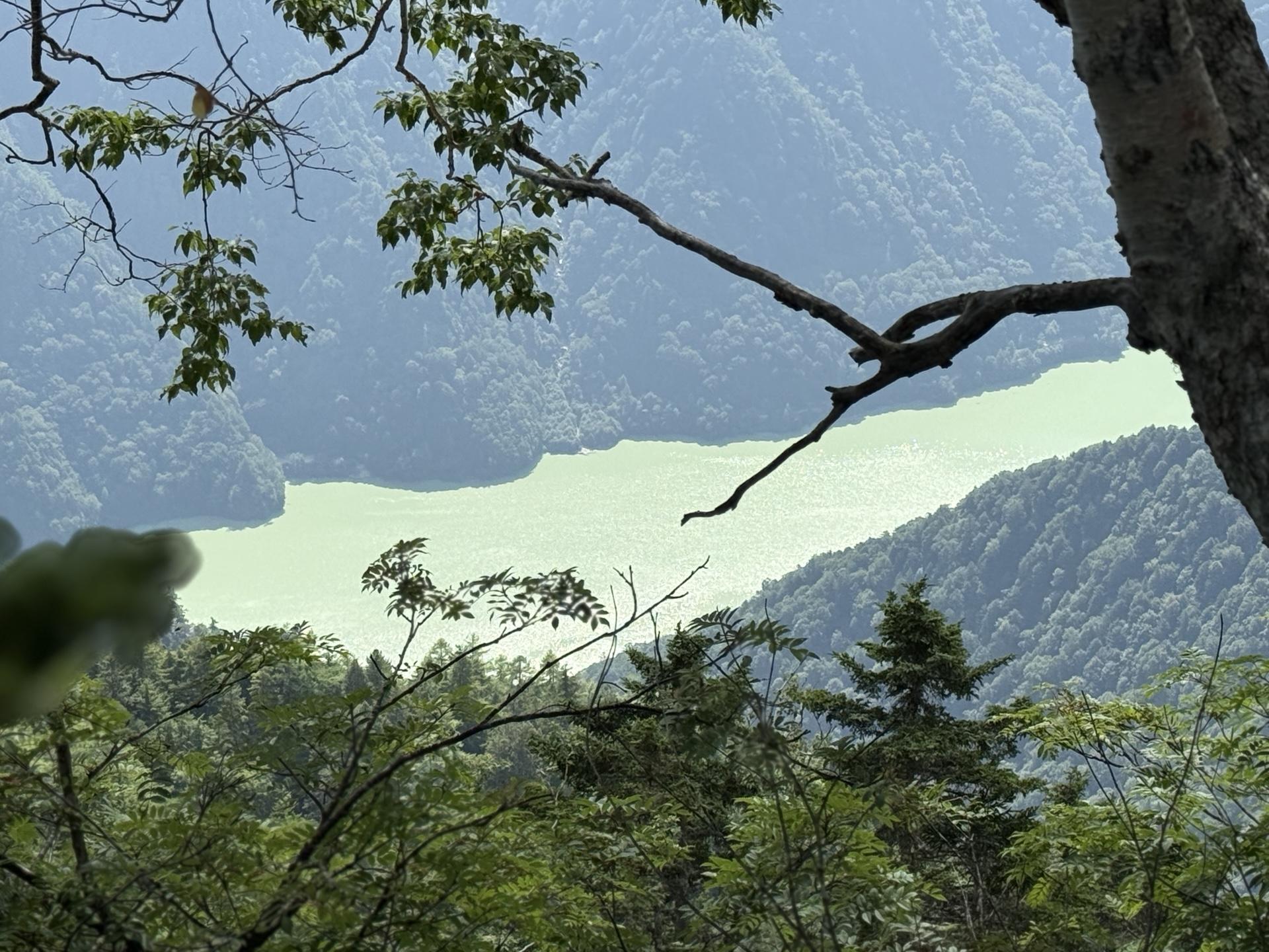 ブナ立尾根 樹林帯から見下ろす高瀬ダム