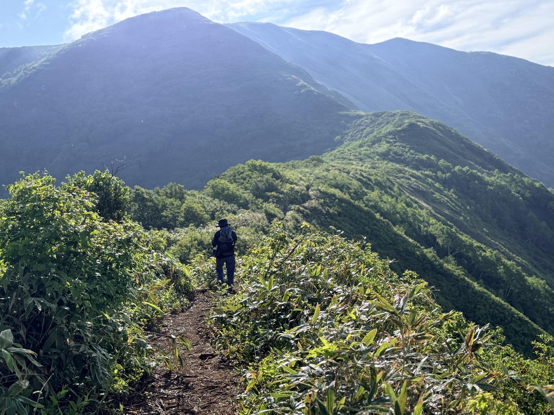 平標山 ここから笹原の稜線へ。右奥が平標山