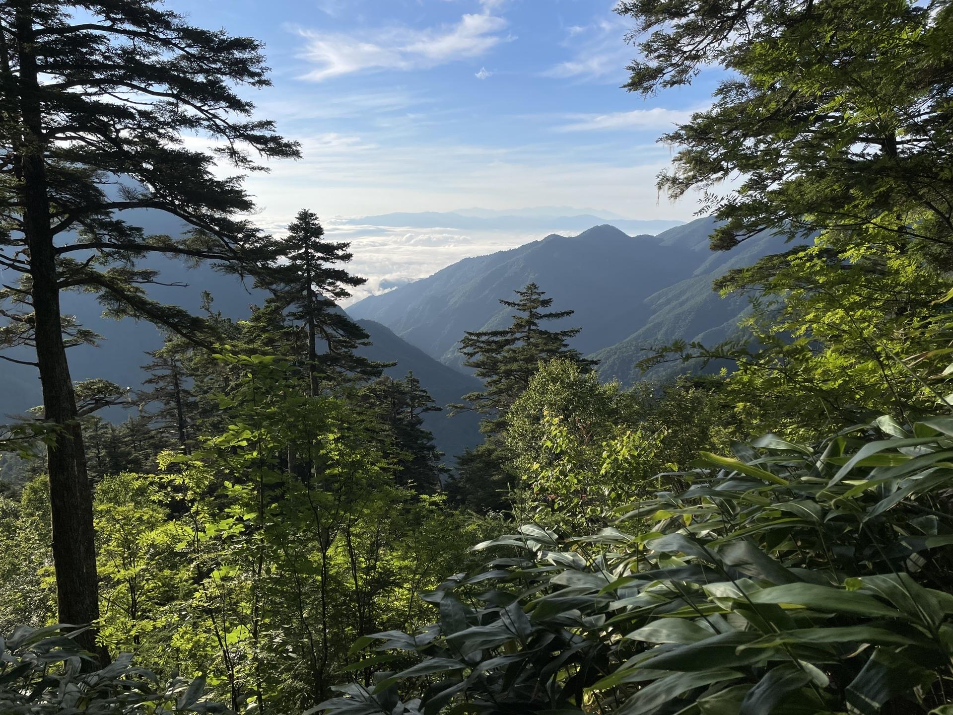 表銀座 合戦尾根 高度を上げると、雲海が朝日に染まり始めました。