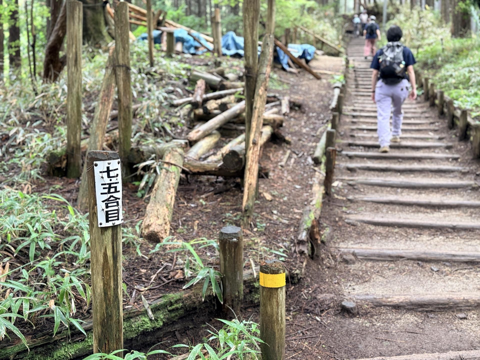 金剛山 八合目