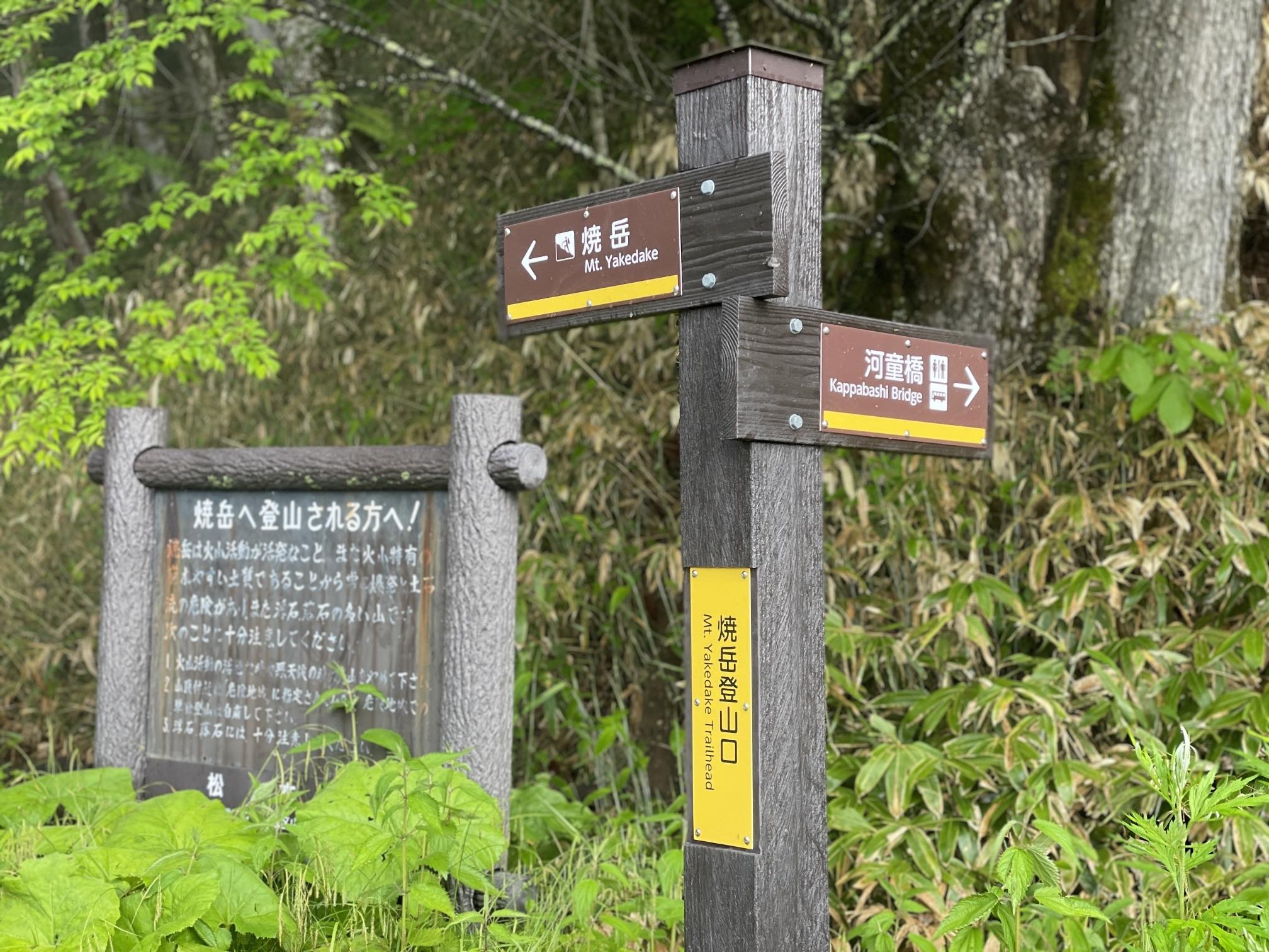 焼岳上高地ルート 登山開始 樹林帯
