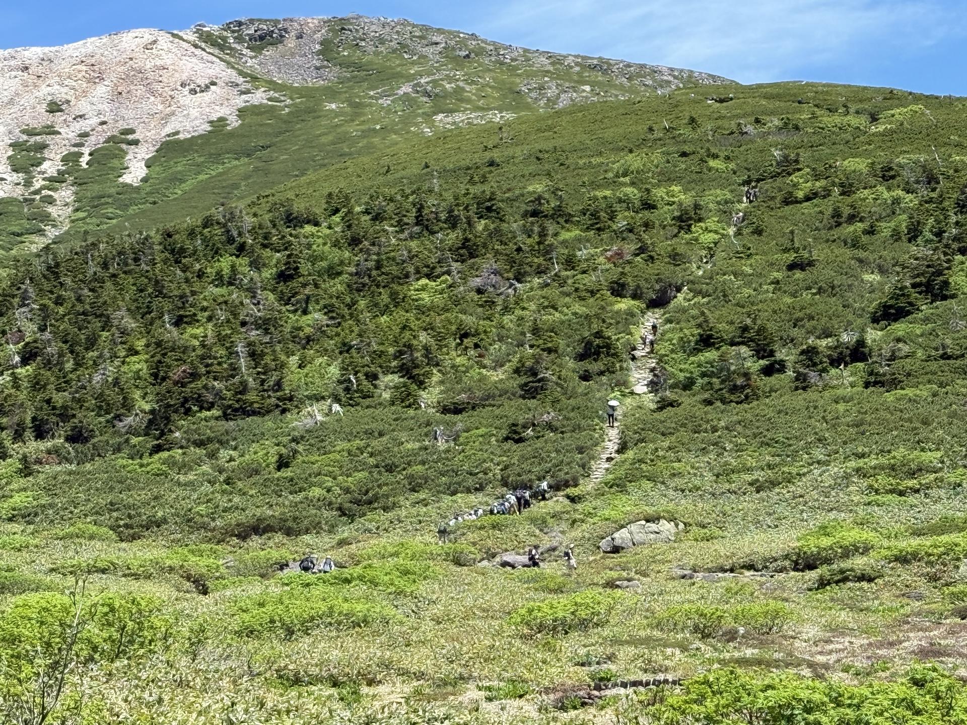 白山 弥陀ヶ原 木道と五葉坂