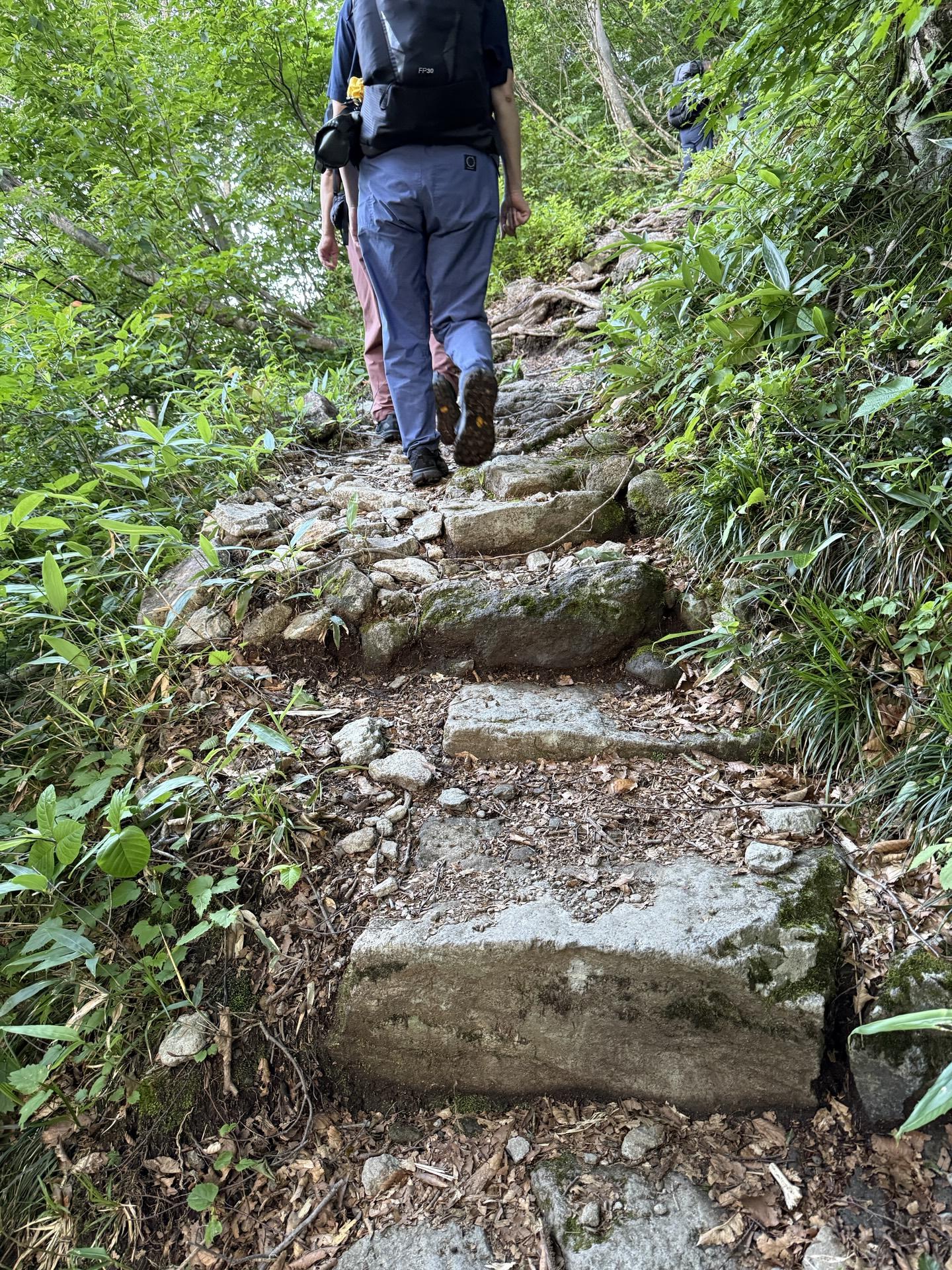 白山 整備された石段。ありがたい