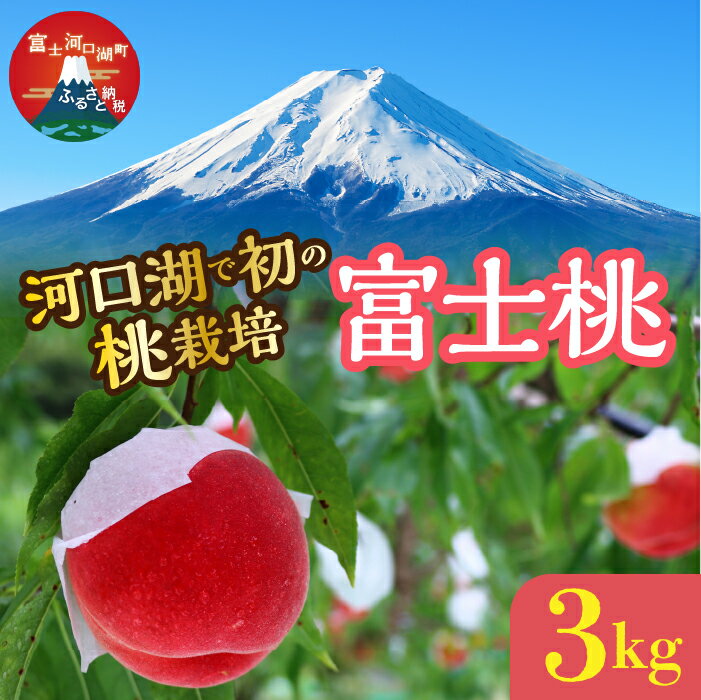 <先行予約>河口湖産 富士桃