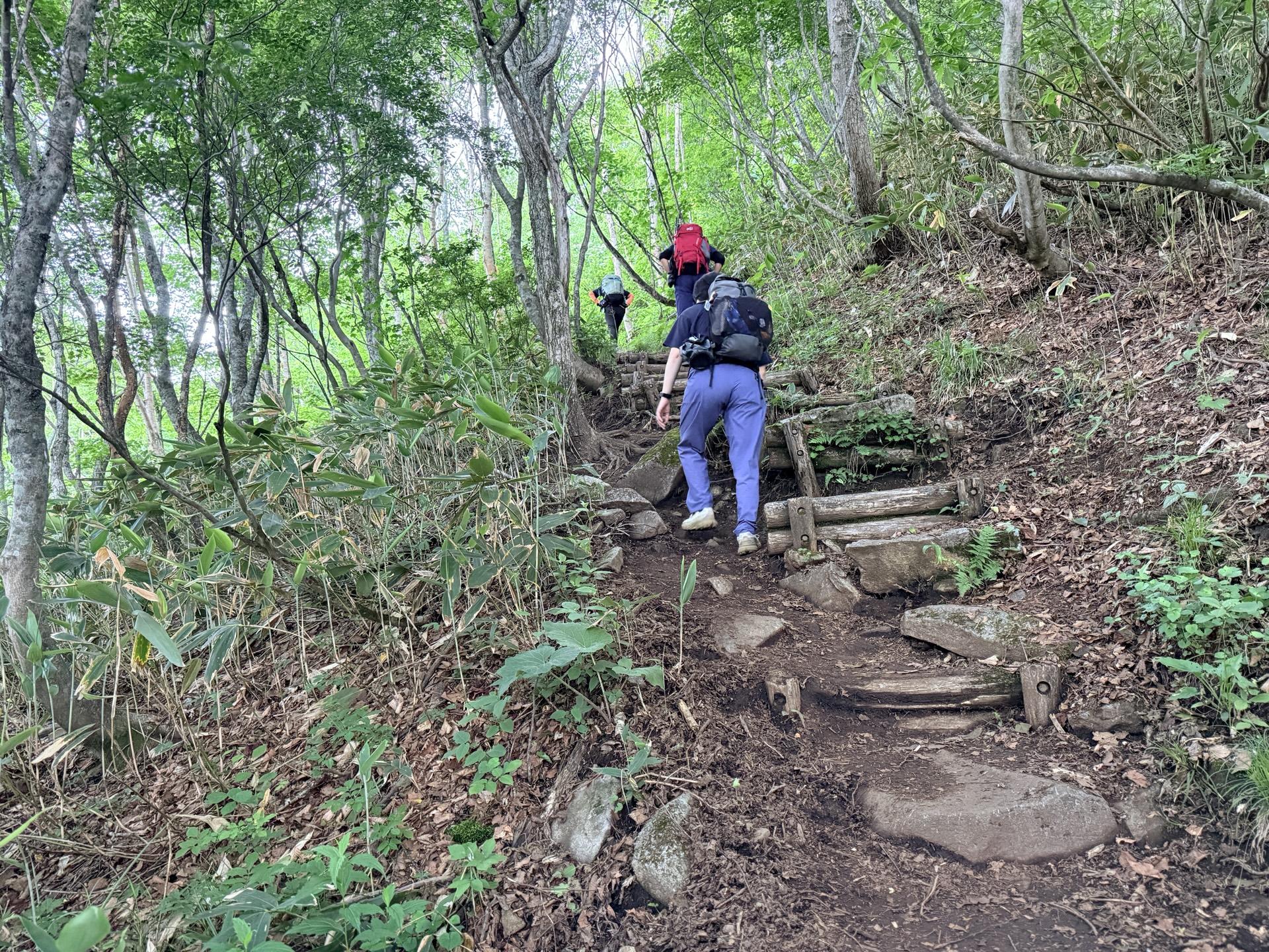 平標山 写真では伝わりにくいけれど、かなりの急登