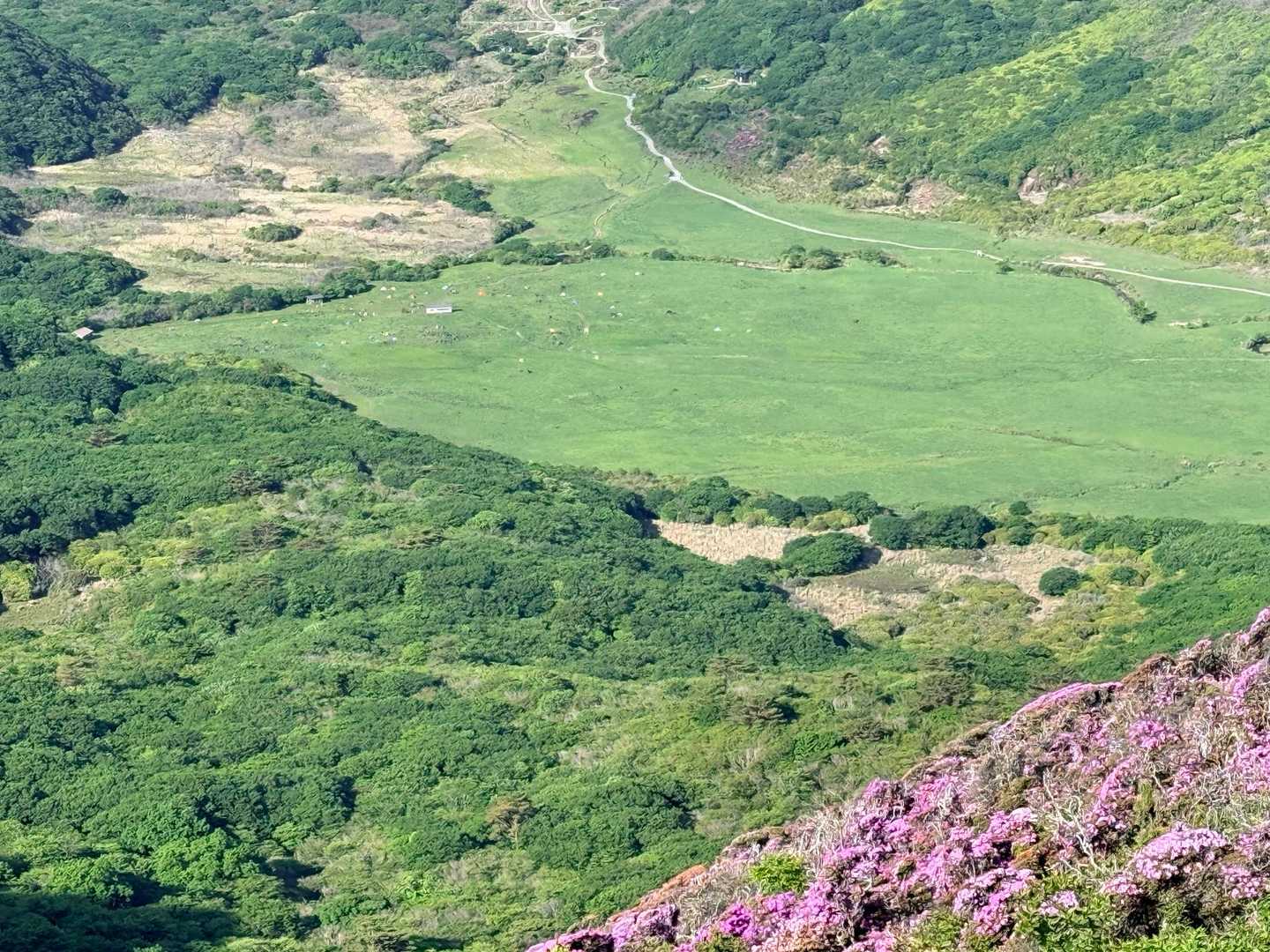 平治岳 坊がつる テント場 草原 ミヤマキリシマ眼下