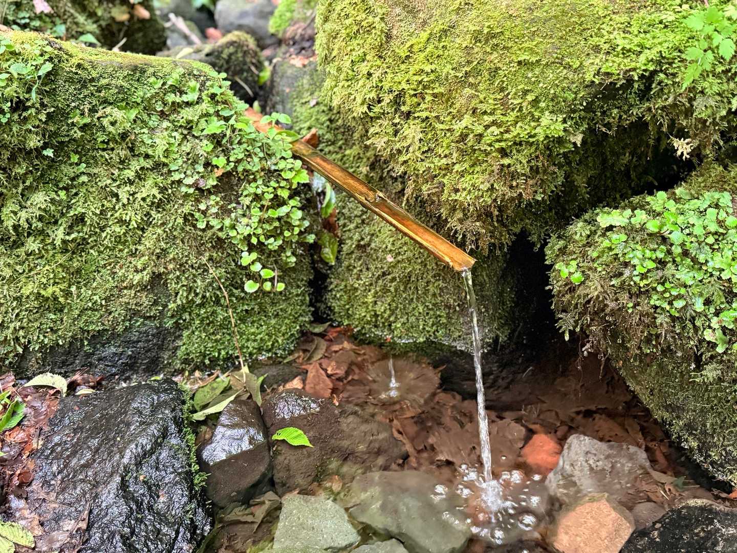 かくし水 男池 ソババッケ 中間の湧水 黒岳の伏流水