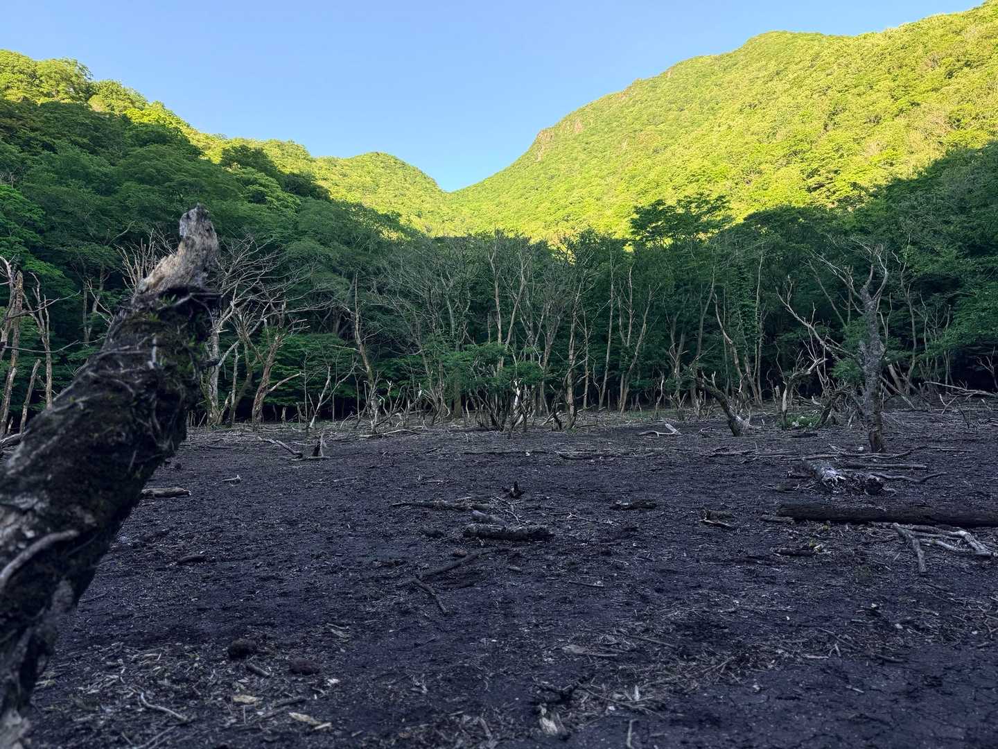 ソババッケ 平治岳 原生林の谷 平坦な窪地 黒岳