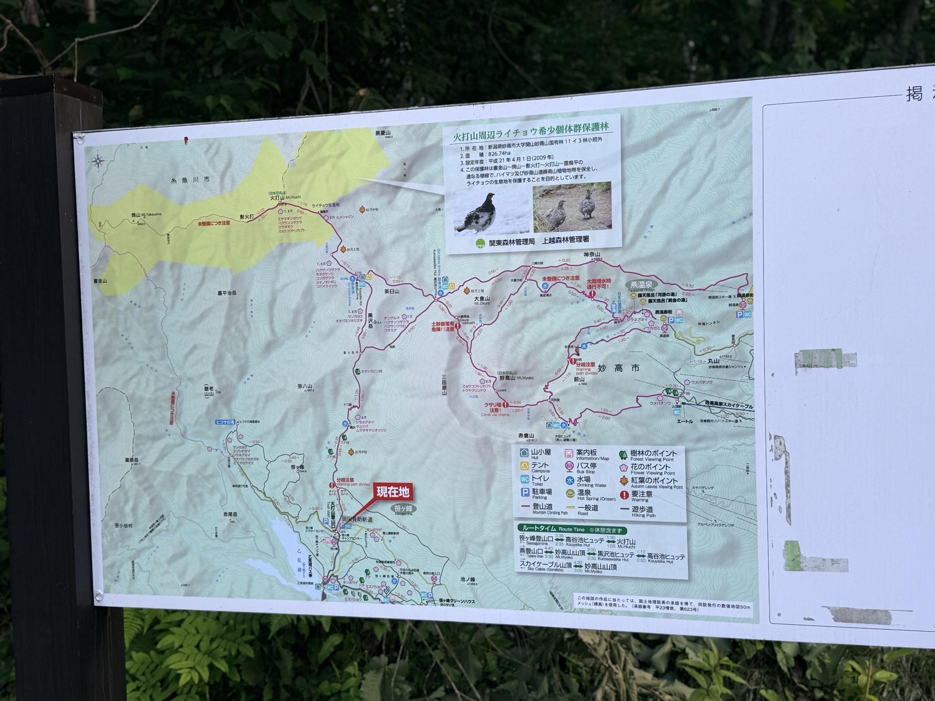 火打山 登山ルートがわかりやすく掲示されているので、出発前に確認しておきましょう。