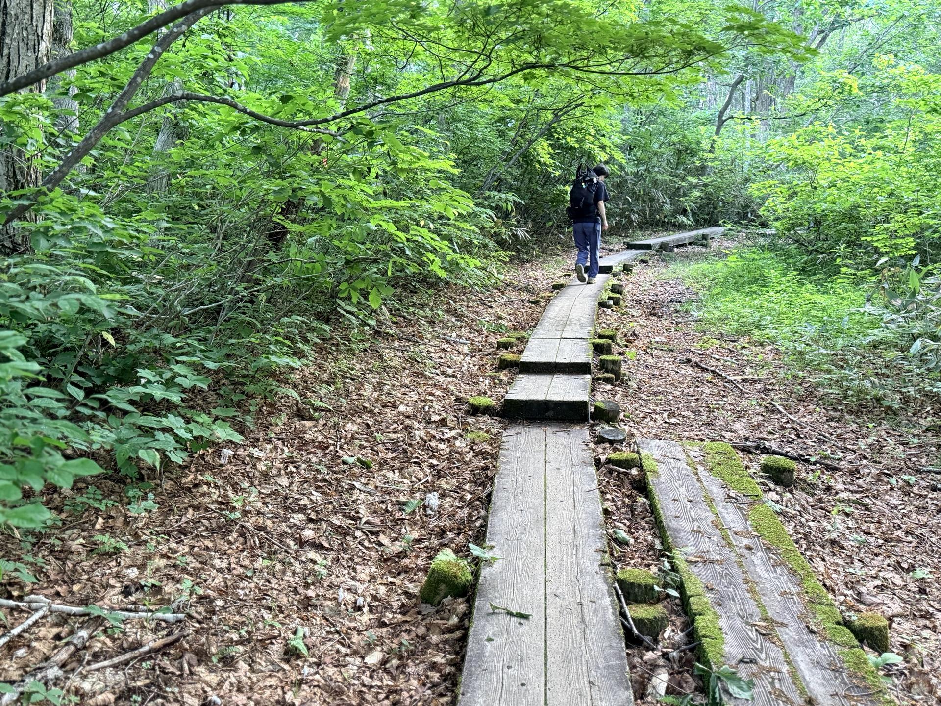 火打山 スタートからしばらくは木道歩き。朝は朝露で濡れて滑りやすいので慎重に。
