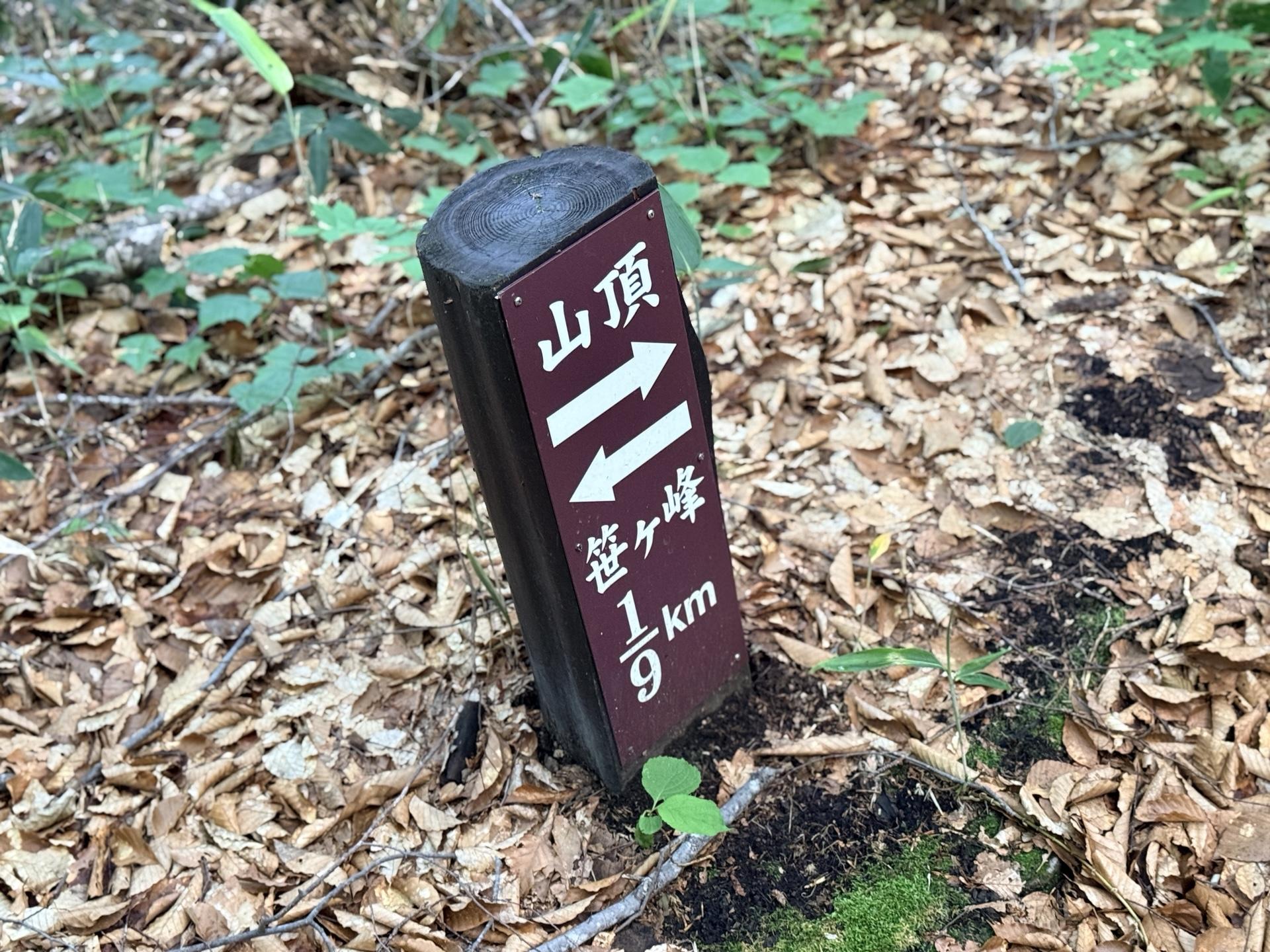 火打山 「1/9」のように残り距離がわかる道標。山頂まで残り8km地点です。