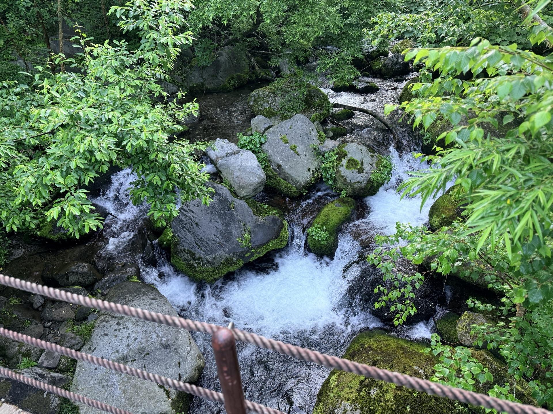 火打山 黒沢の水は勢いよく流れ、手をつけるとびっくりするほど冷たい。ここで顔を洗って急登に備えます。