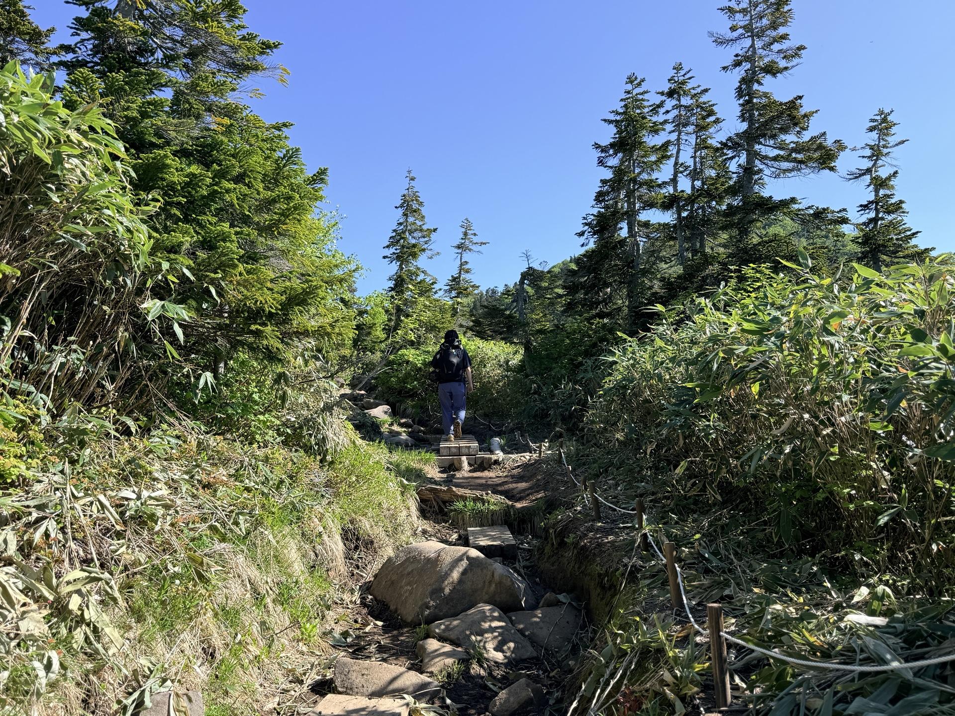 火打山 富士見平を過ぎると、待っていたのは梅雨の晴れ間の青空。この日を狙って登ってきました。