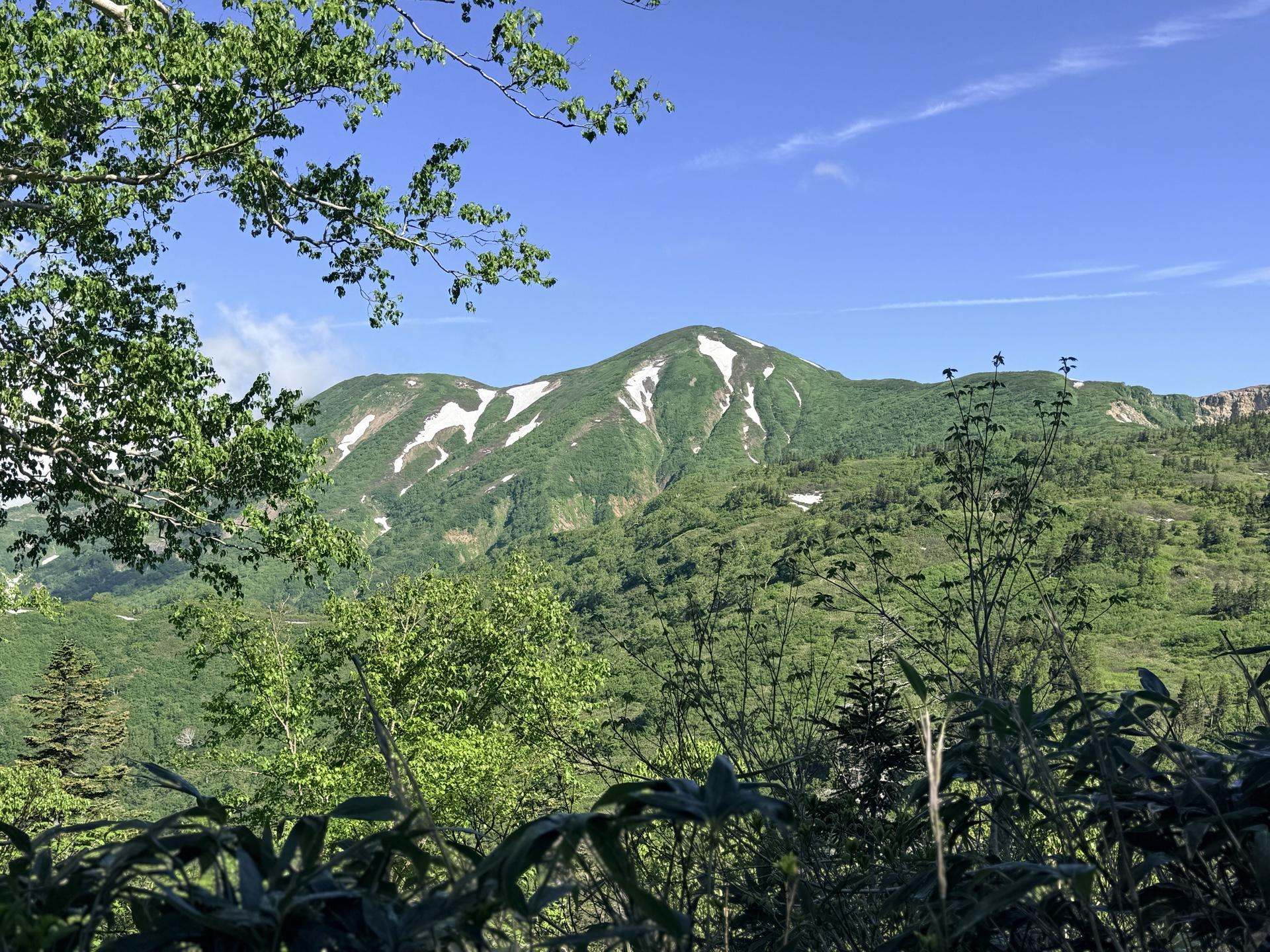火打山 火打山（左に影火打）が、ついに姿を現しました。雪渓と新緑、青空のコントラストが完璧です。