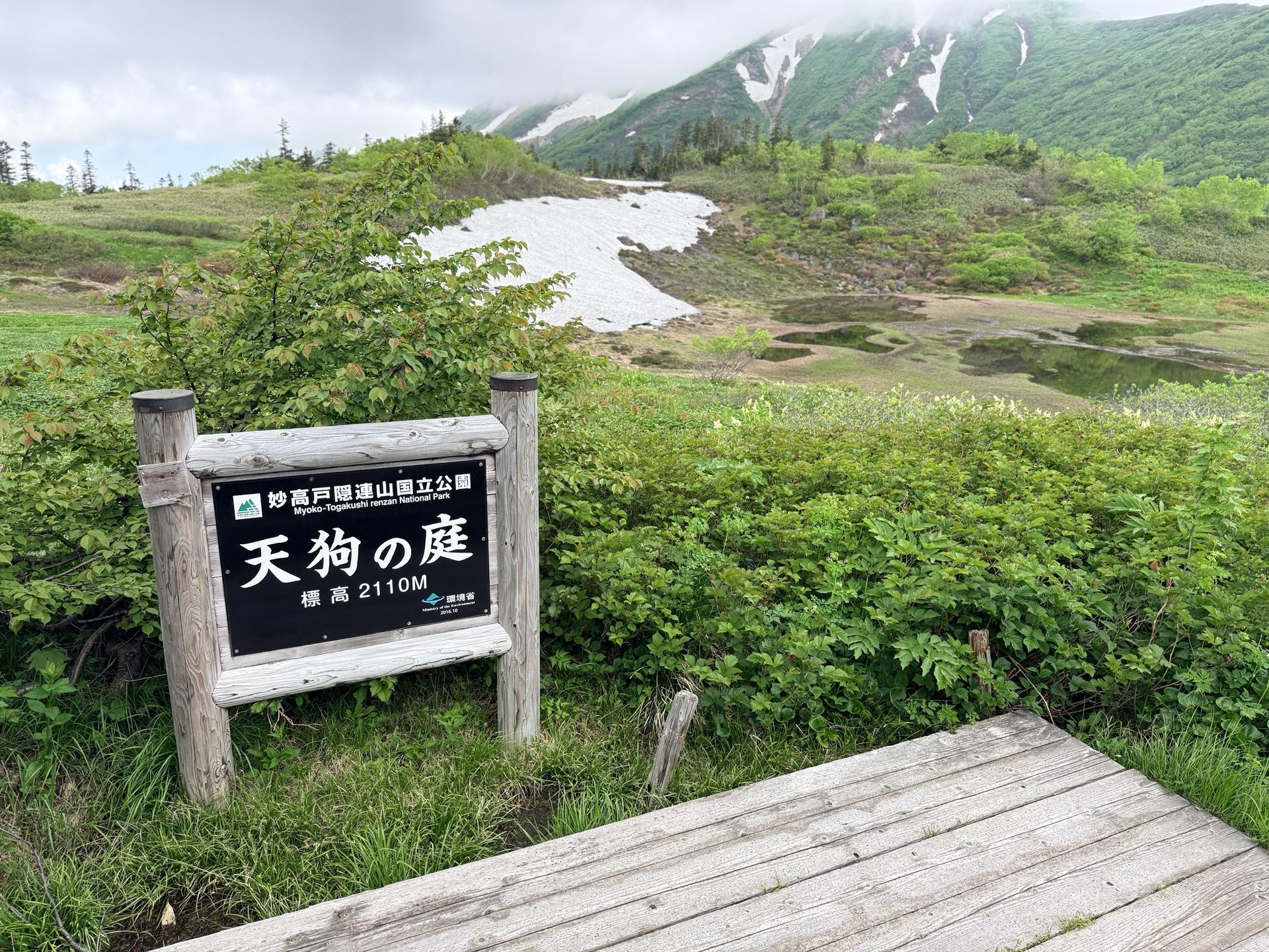 火打山 天狗の庭に到着。池塘が点在する、火打山を代表する湿原の風景です。