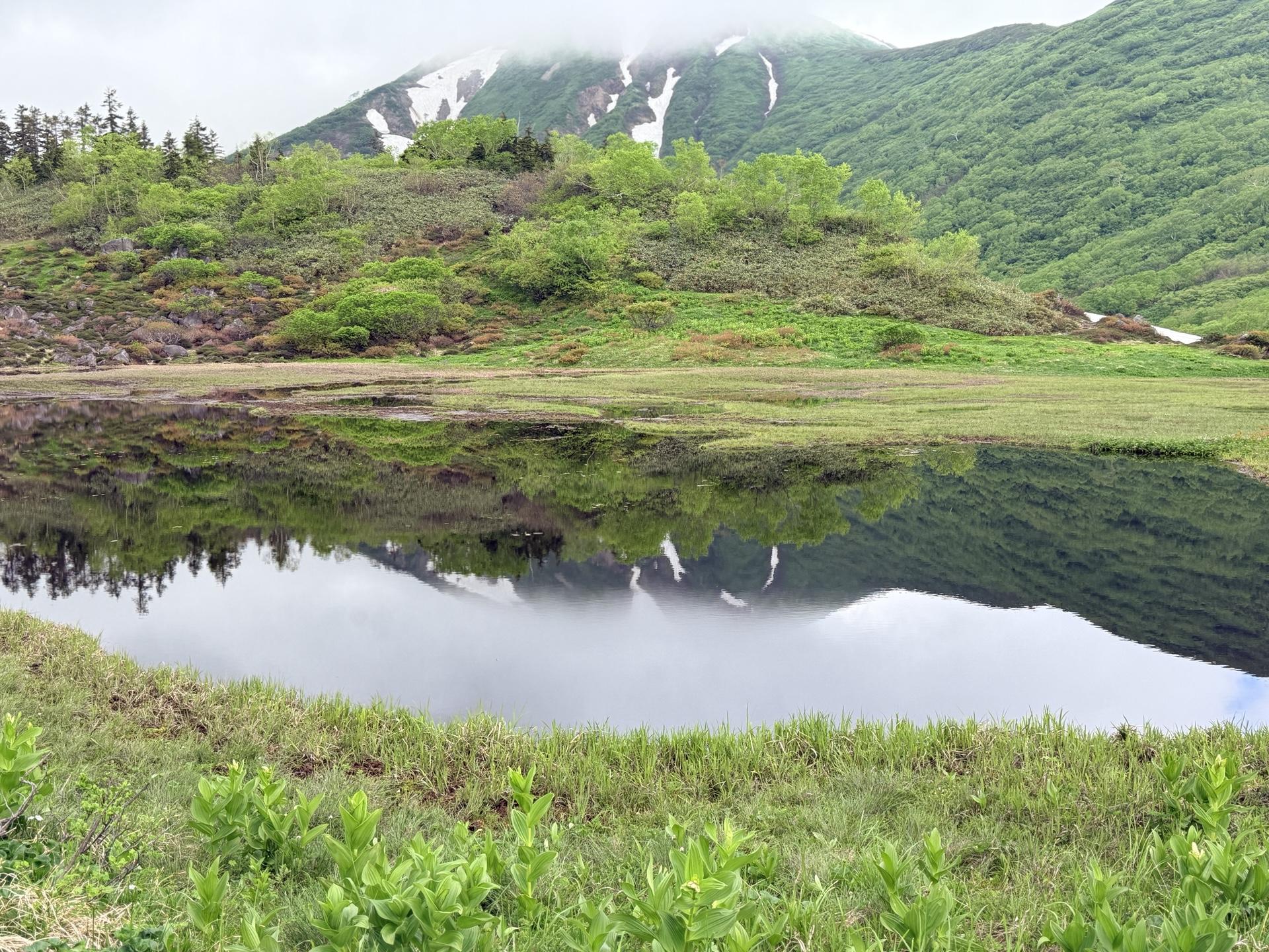 火打山 この日はガスがわいて山頂は隠れ気味。風がなければ、池塘に映る「逆さ火打」が見られます。