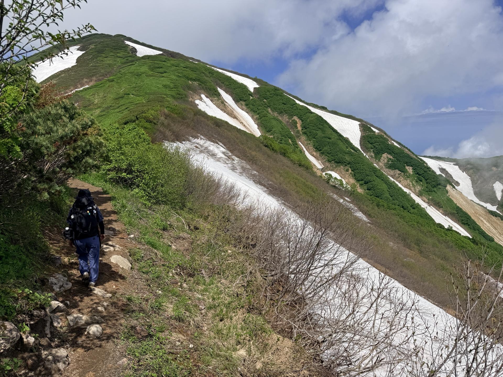 火打山 斜面にはまだたっぷりと雪渓。この雪解け水が、美しい高山植物を育てています。