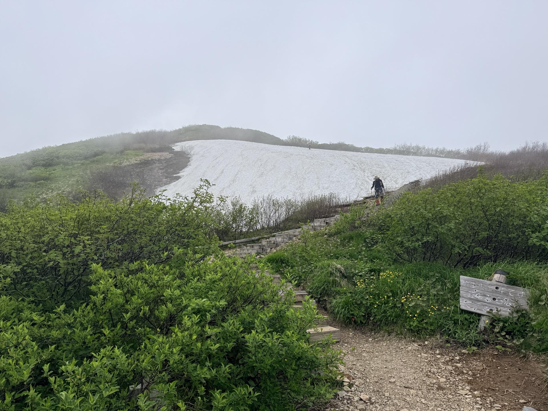 火打山 山頂直下、最大の雪渓。ステップが切られていたのでアイゼンなしで歩けましたが、下りが不安な方はチェーンスパイクがあると安心です。
