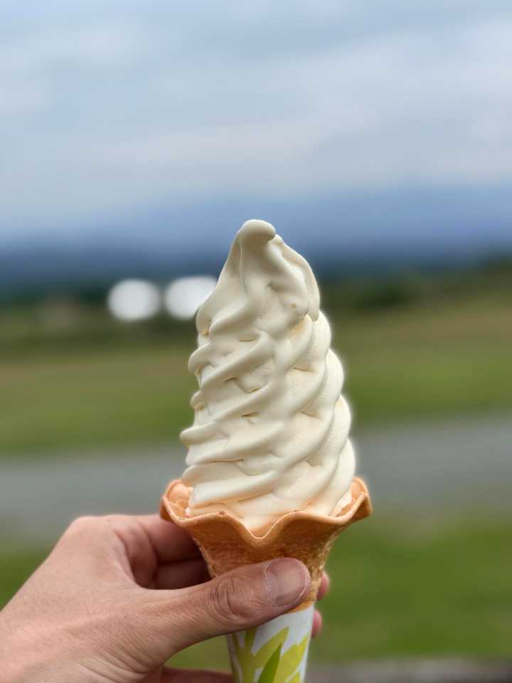 くじゅうガンジーファーム ガンジーソフトクリーム ゴールデンミルク